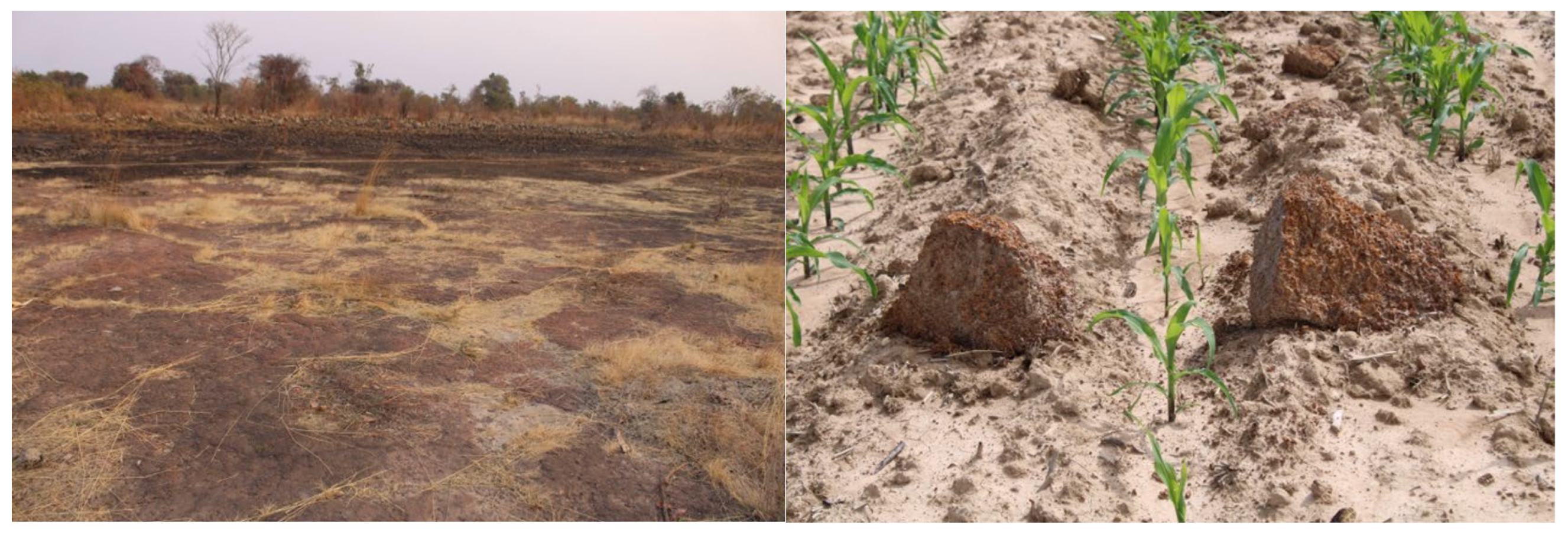 Preprints 178750 g001