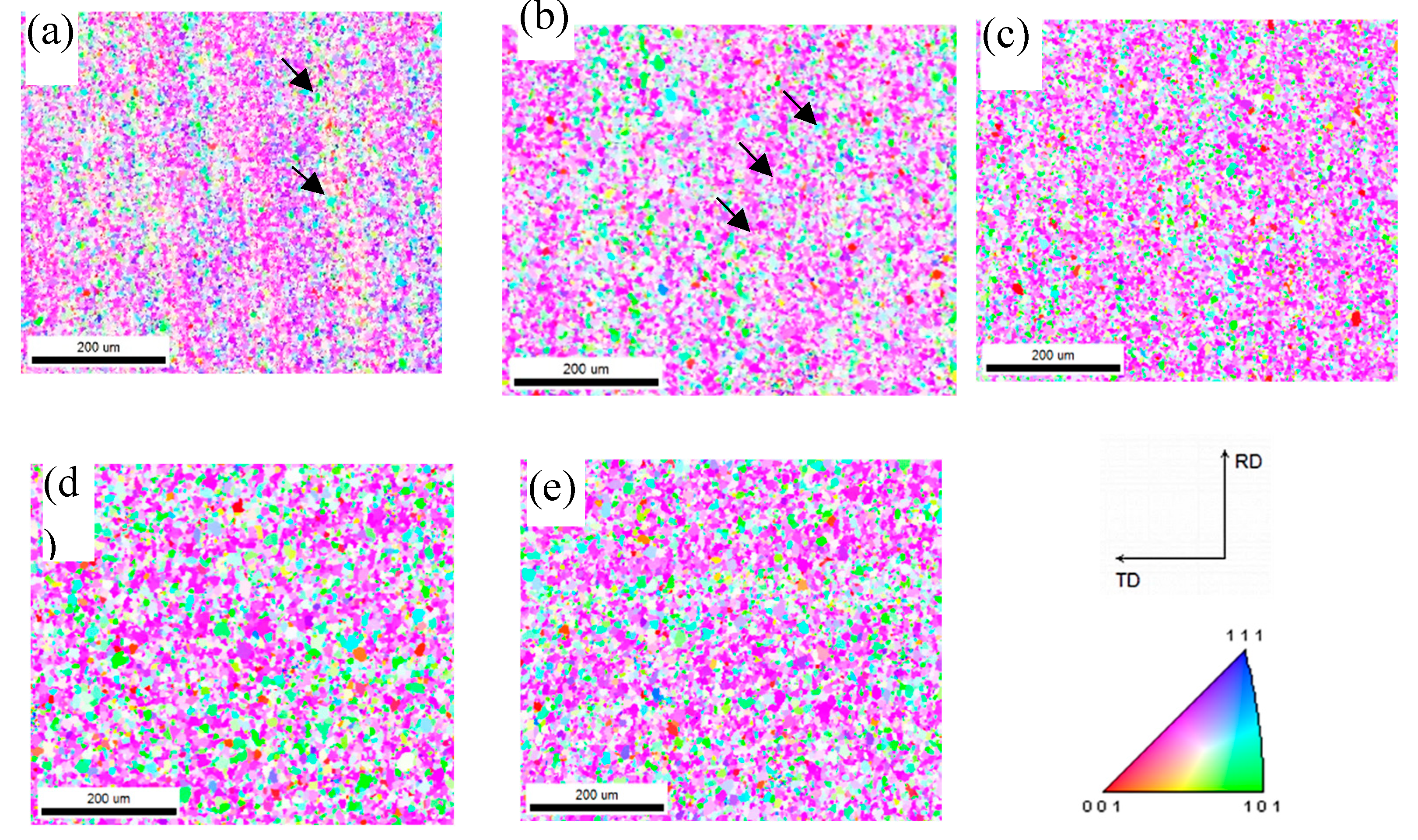 Preprints 200787 g001