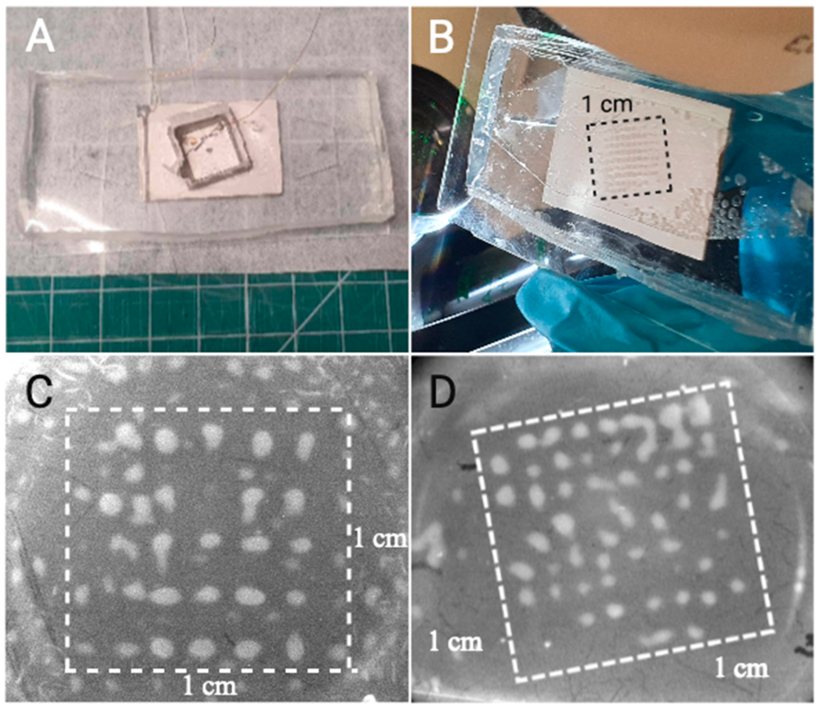 Preprints 139787 g002