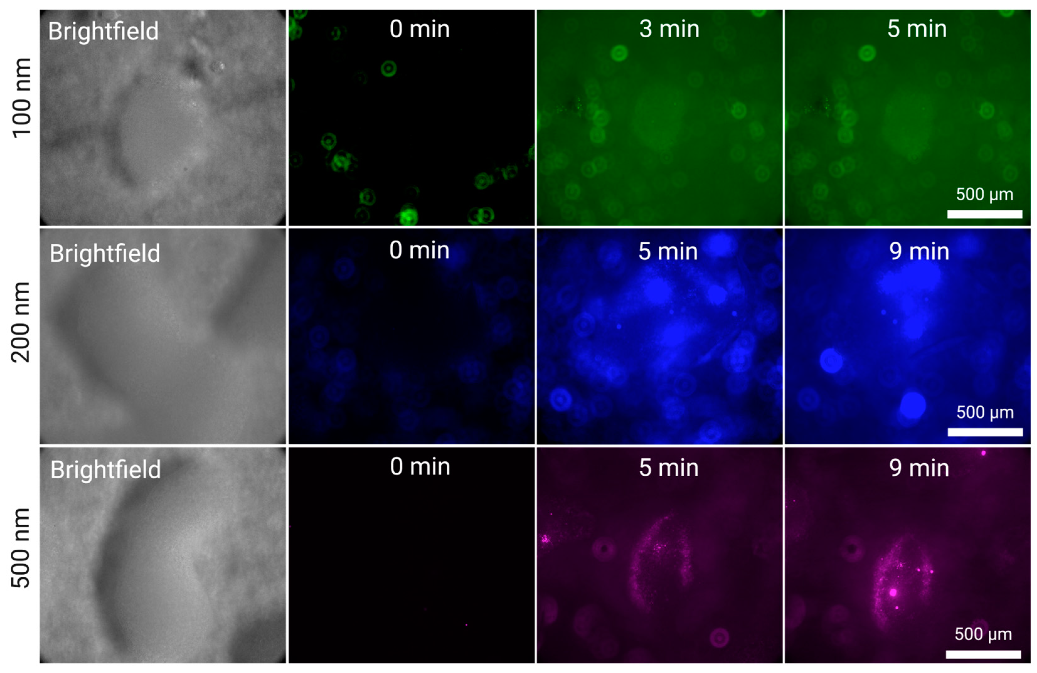 Preprints 139787 g003