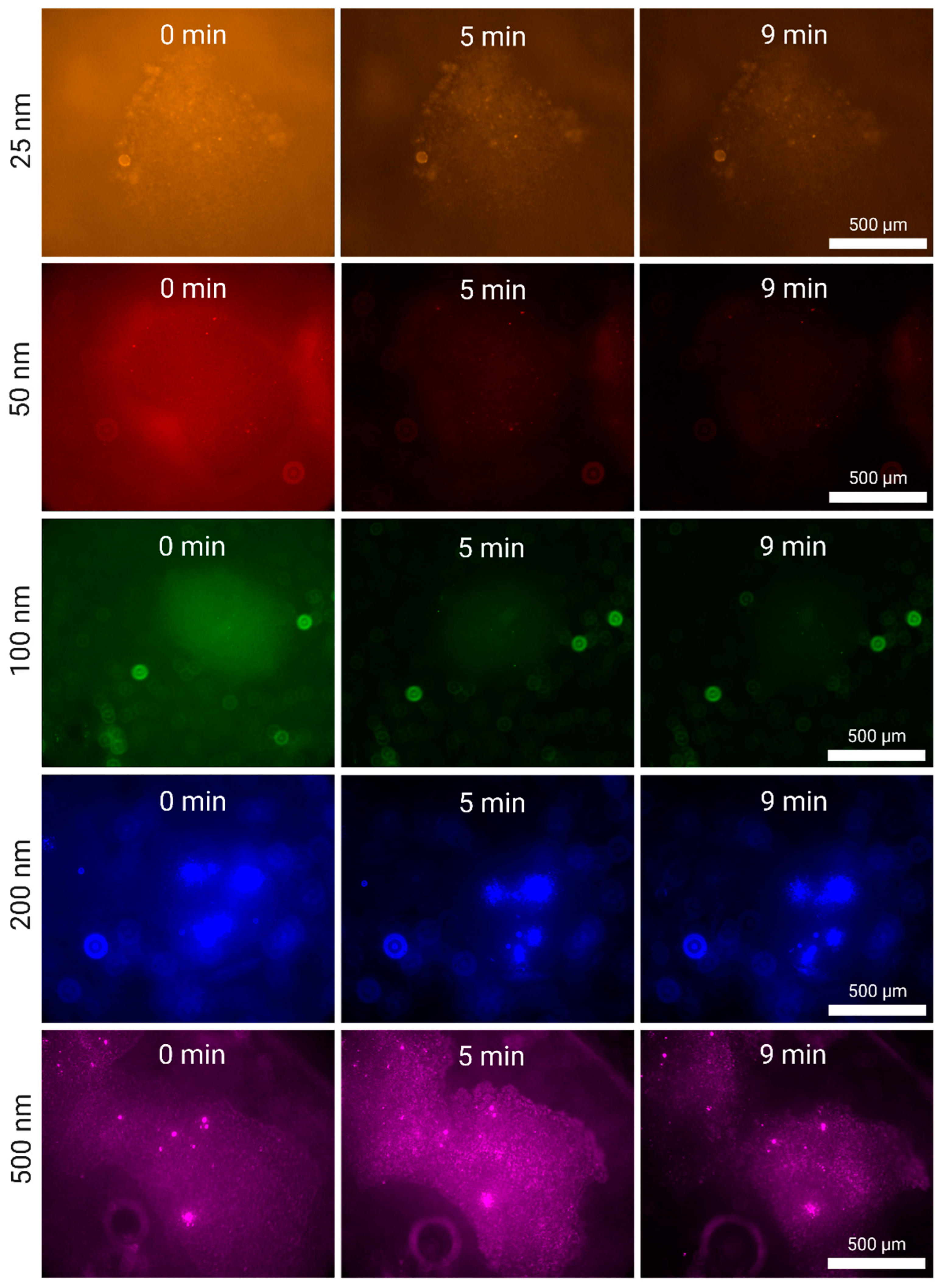 Preprints 139787 g005