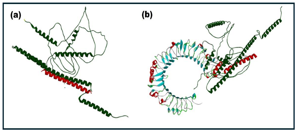 Preprints 217020 g007