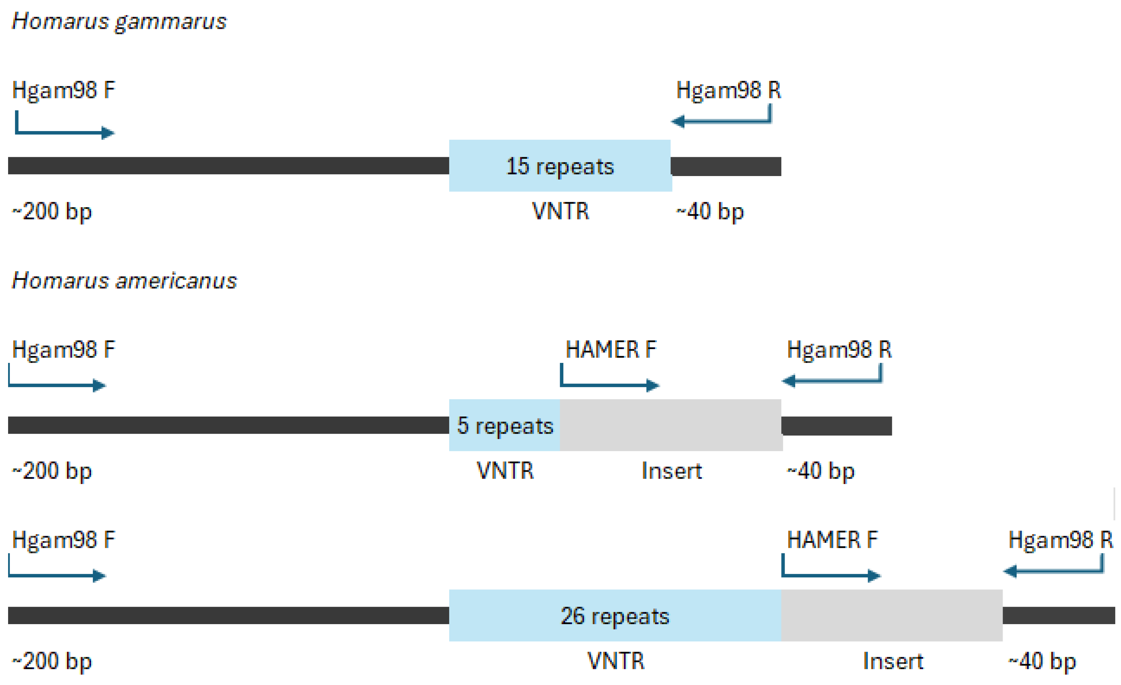 Preprints 173999 g001