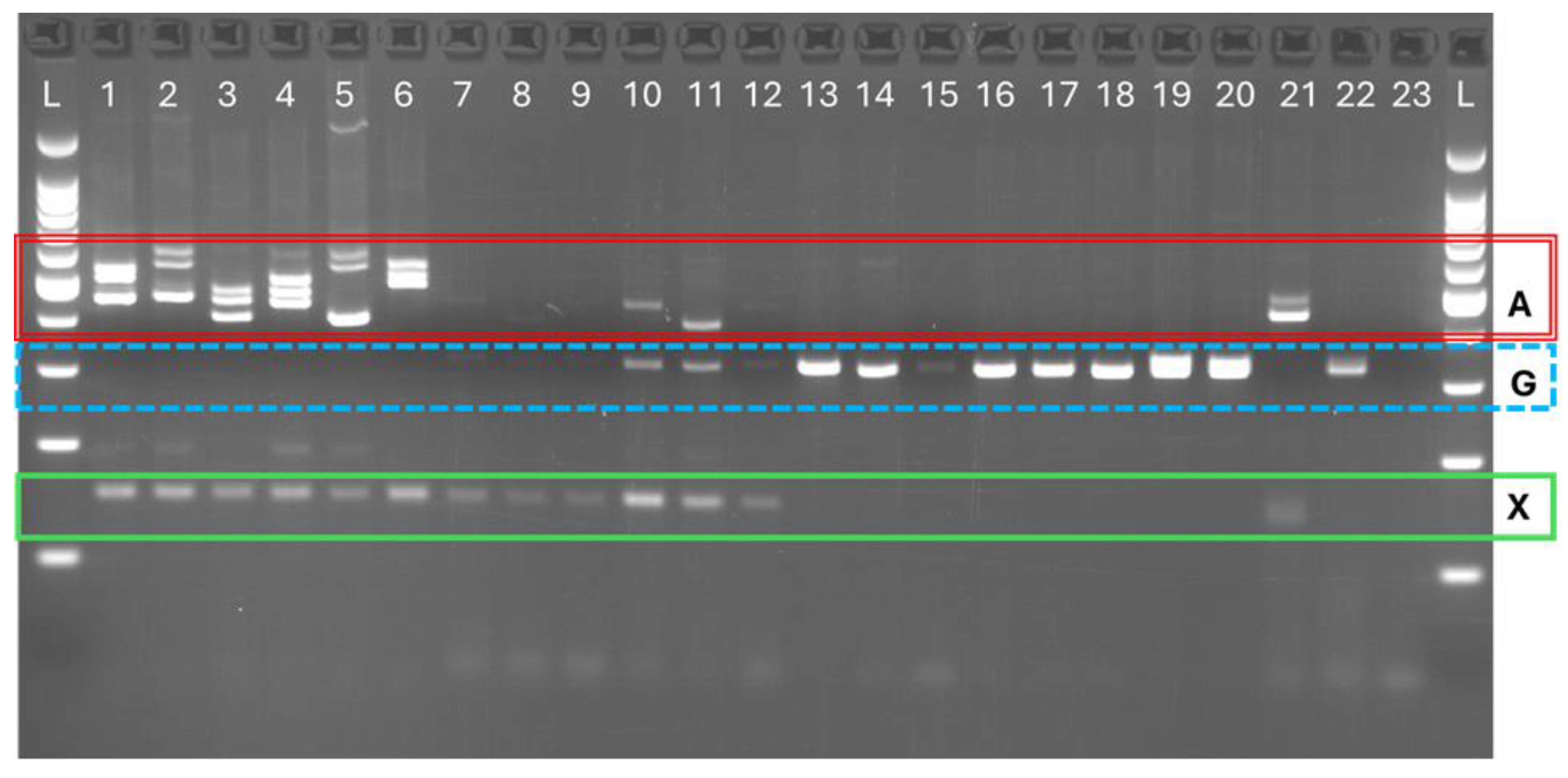 Preprints 173999 g002