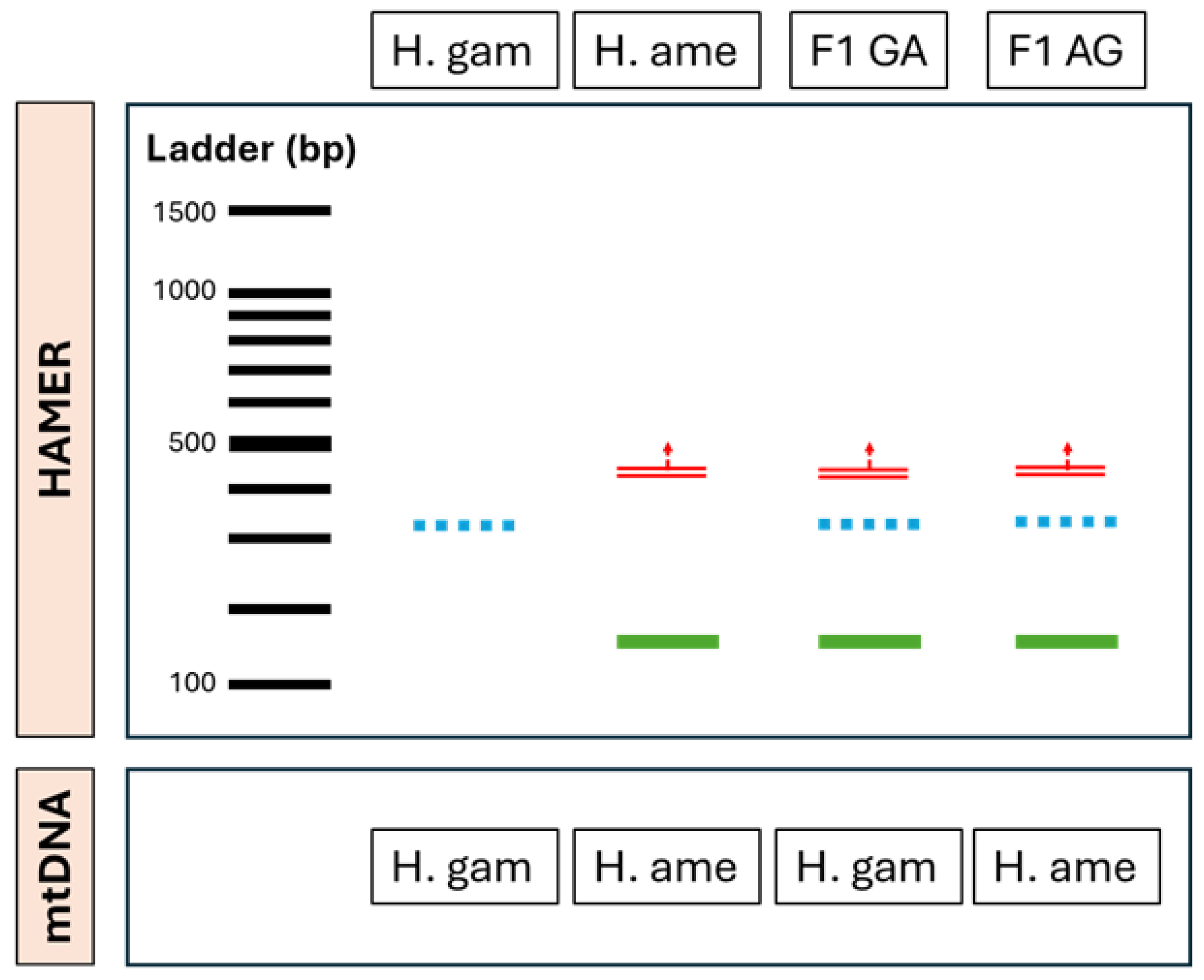 Preprints 173999 g003