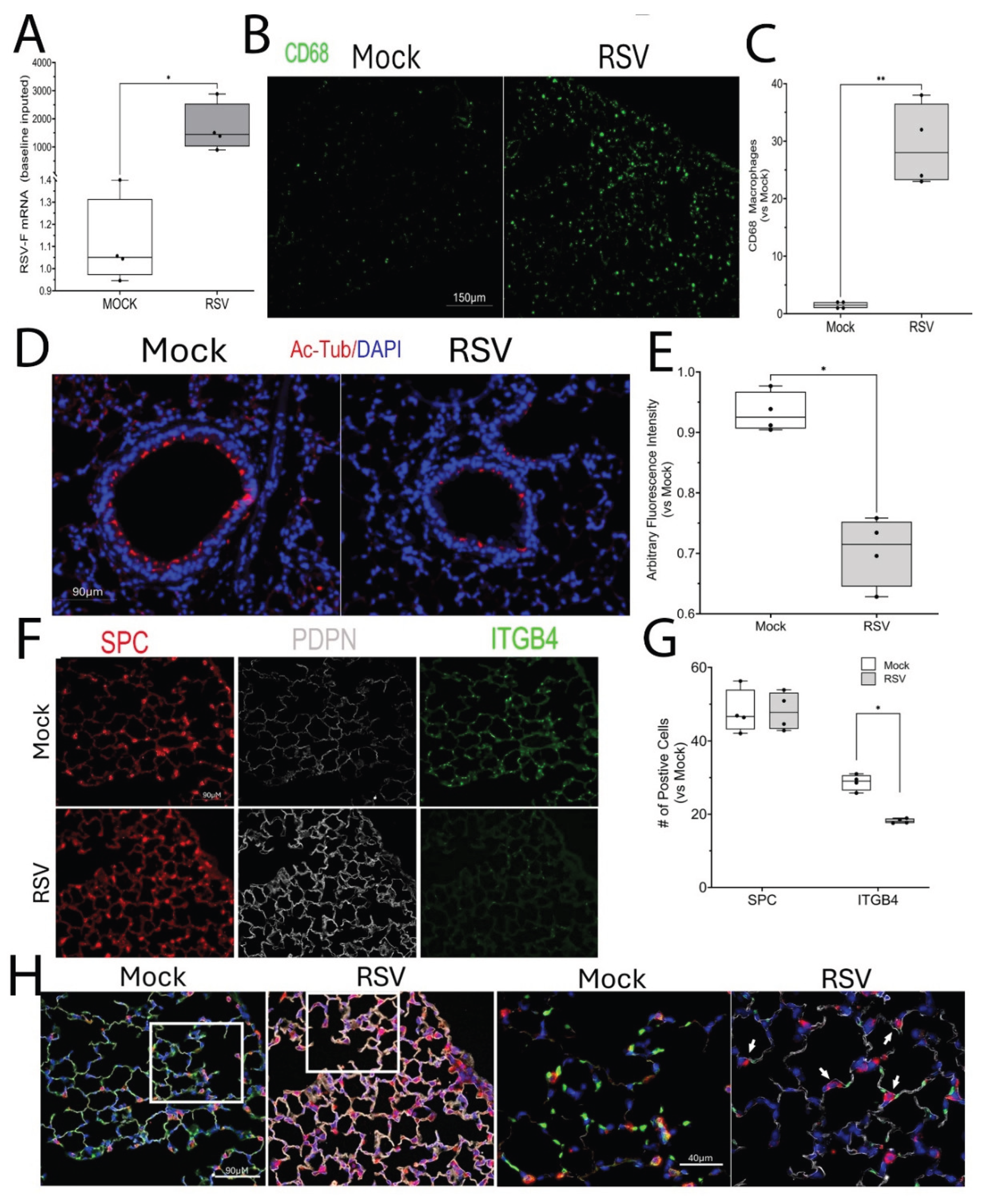 Preprints 186089 g001