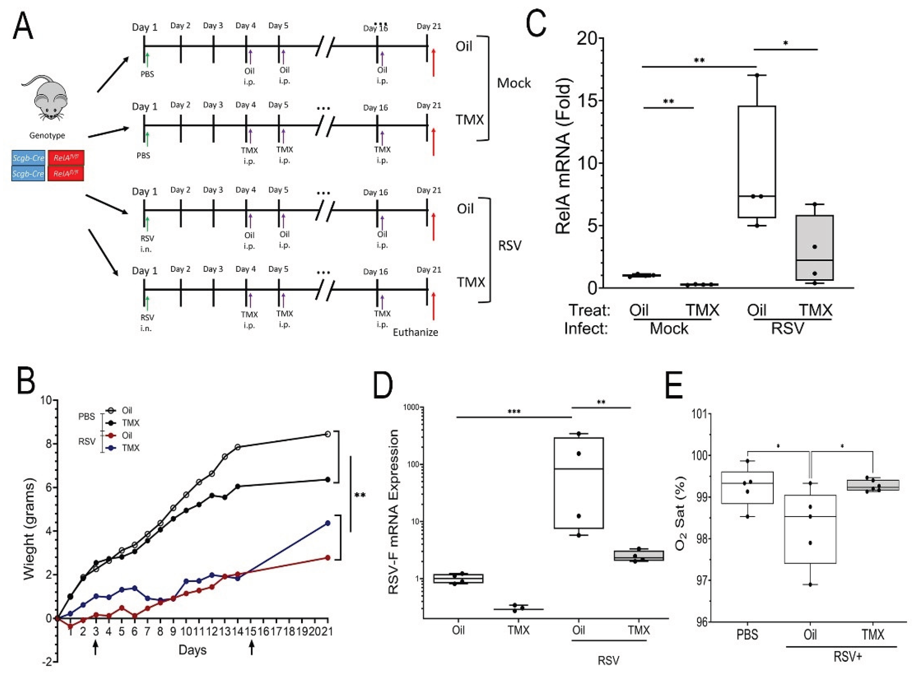 Preprints 186089 g002