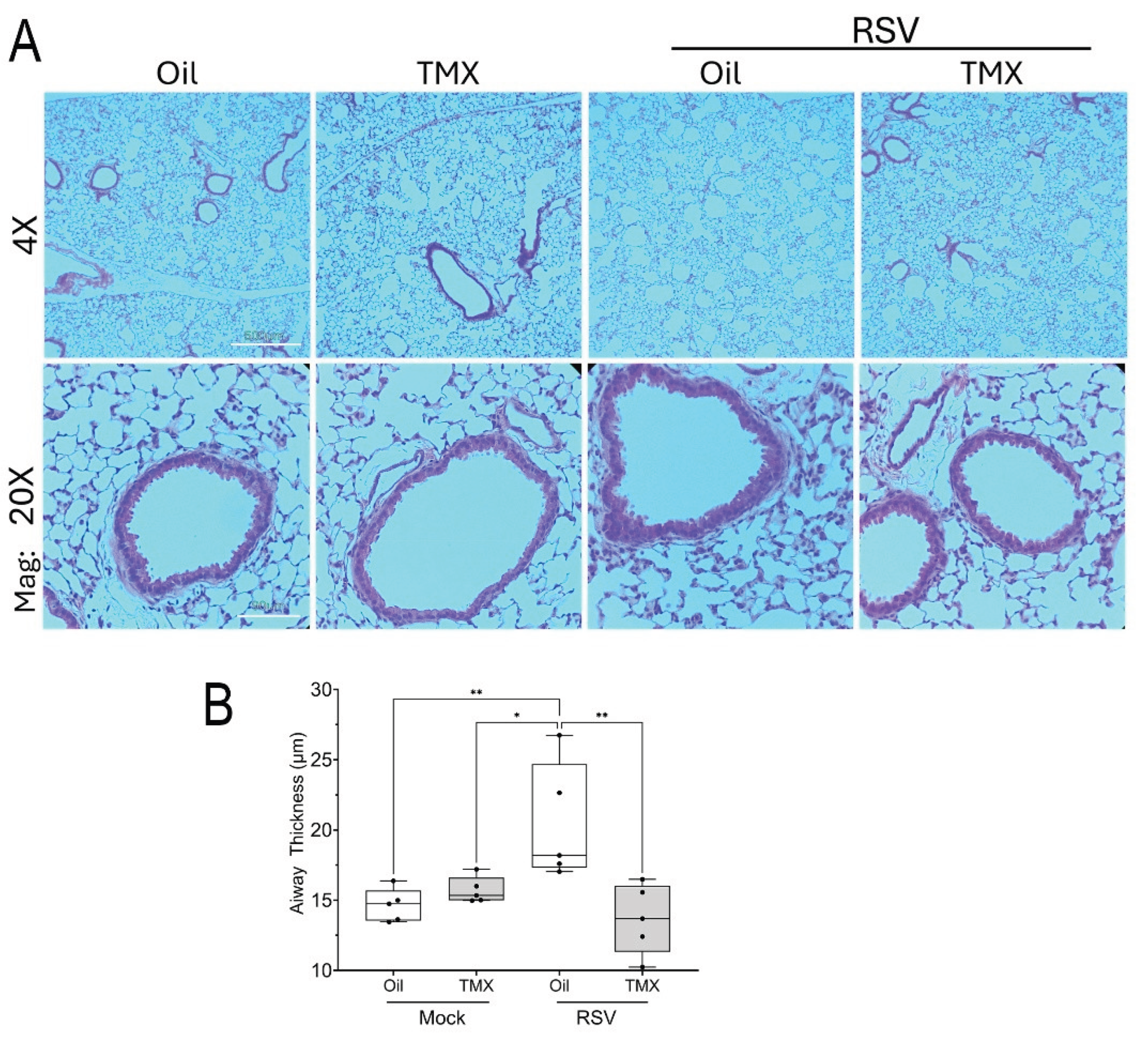Preprints 186089 g003