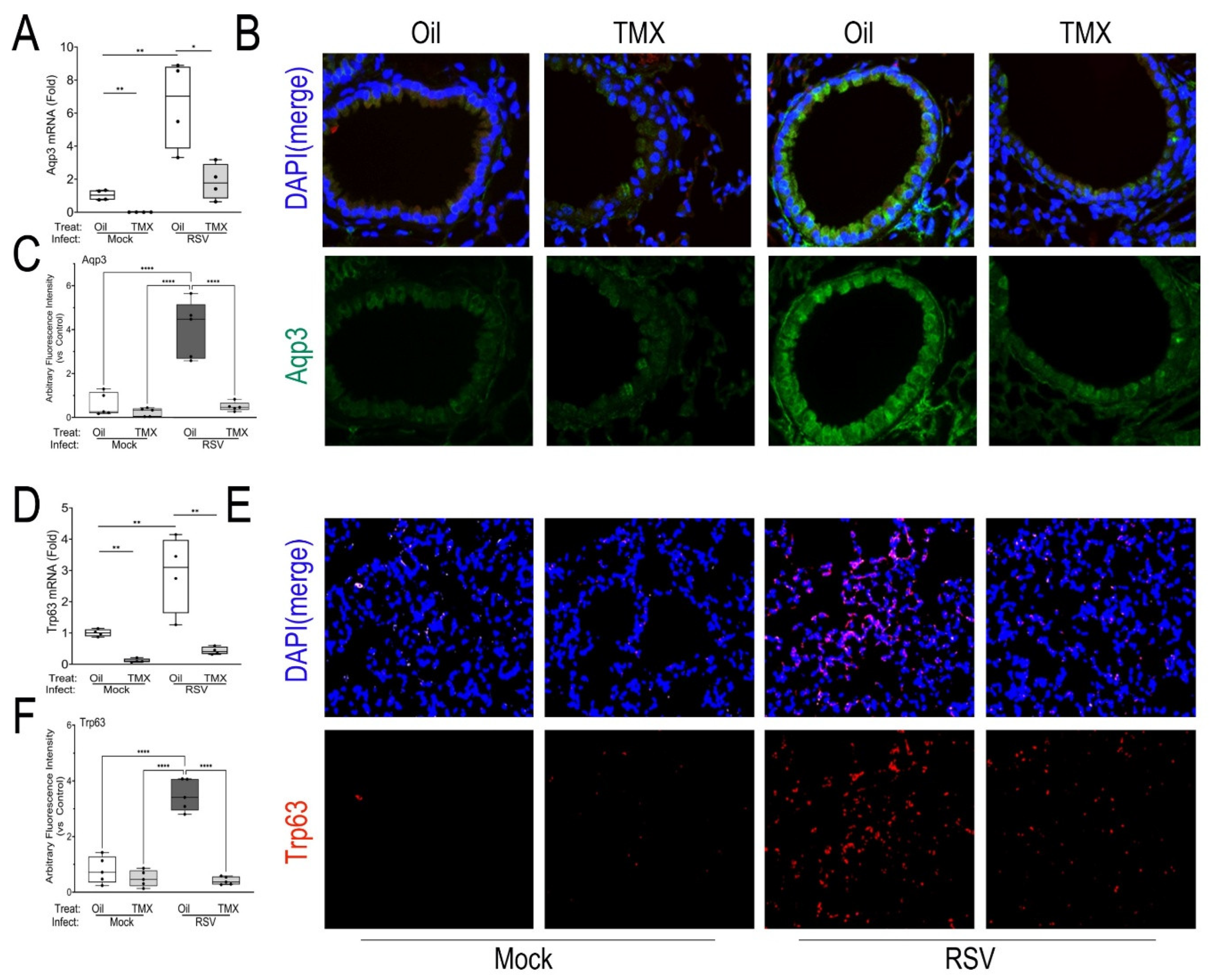 Preprints 186089 g004