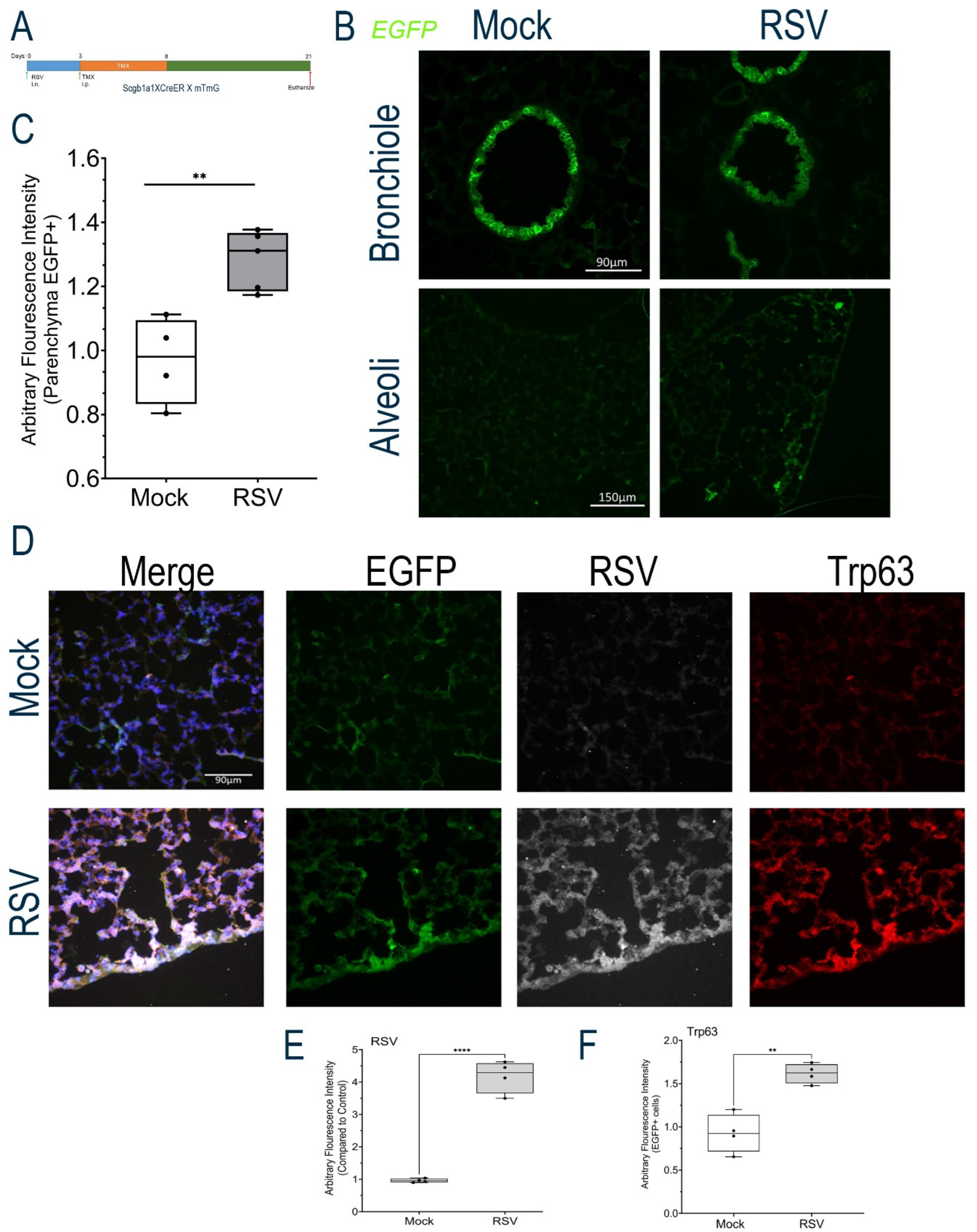 Preprints 186089 g006