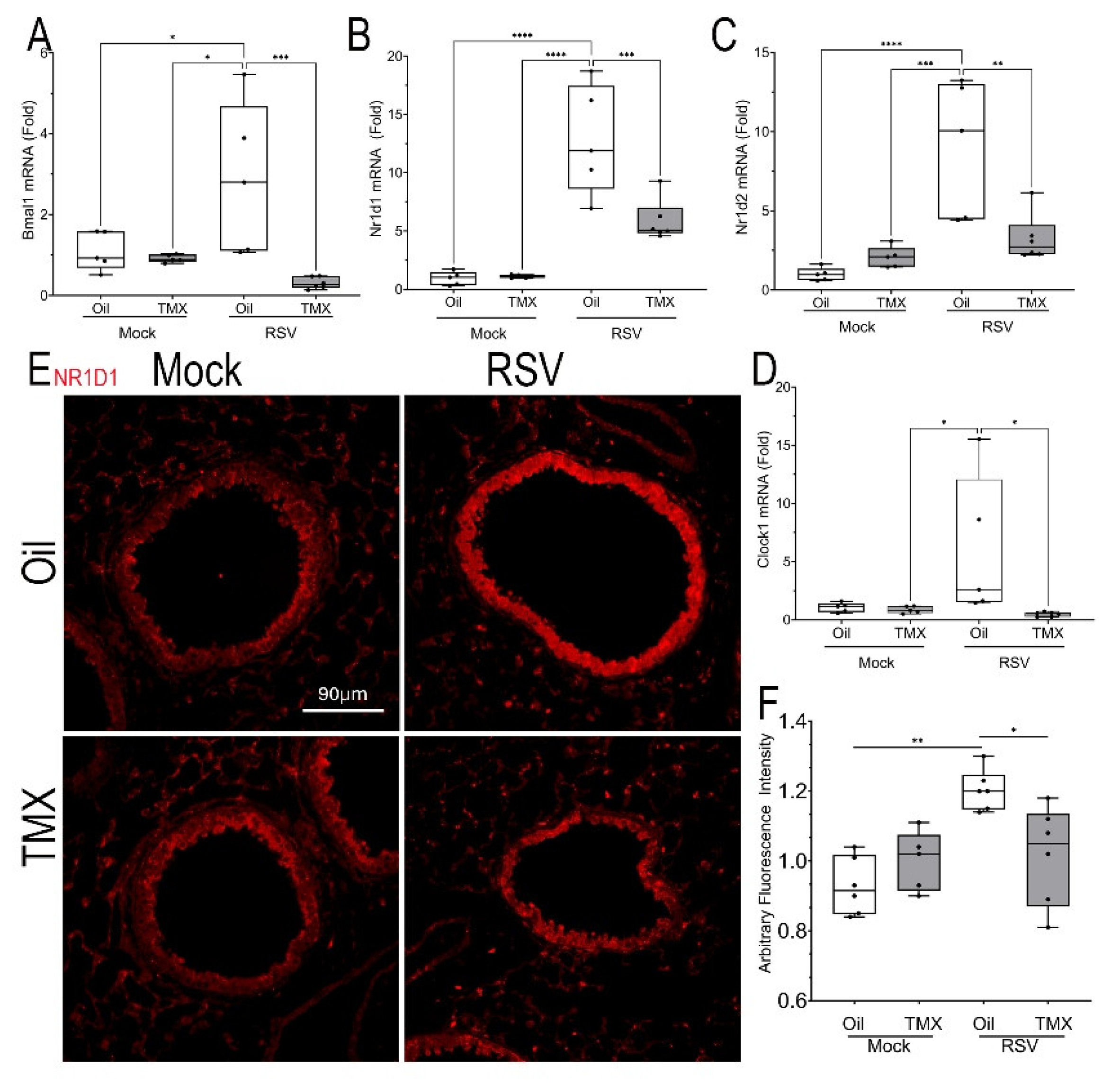 Preprints 186089 g008