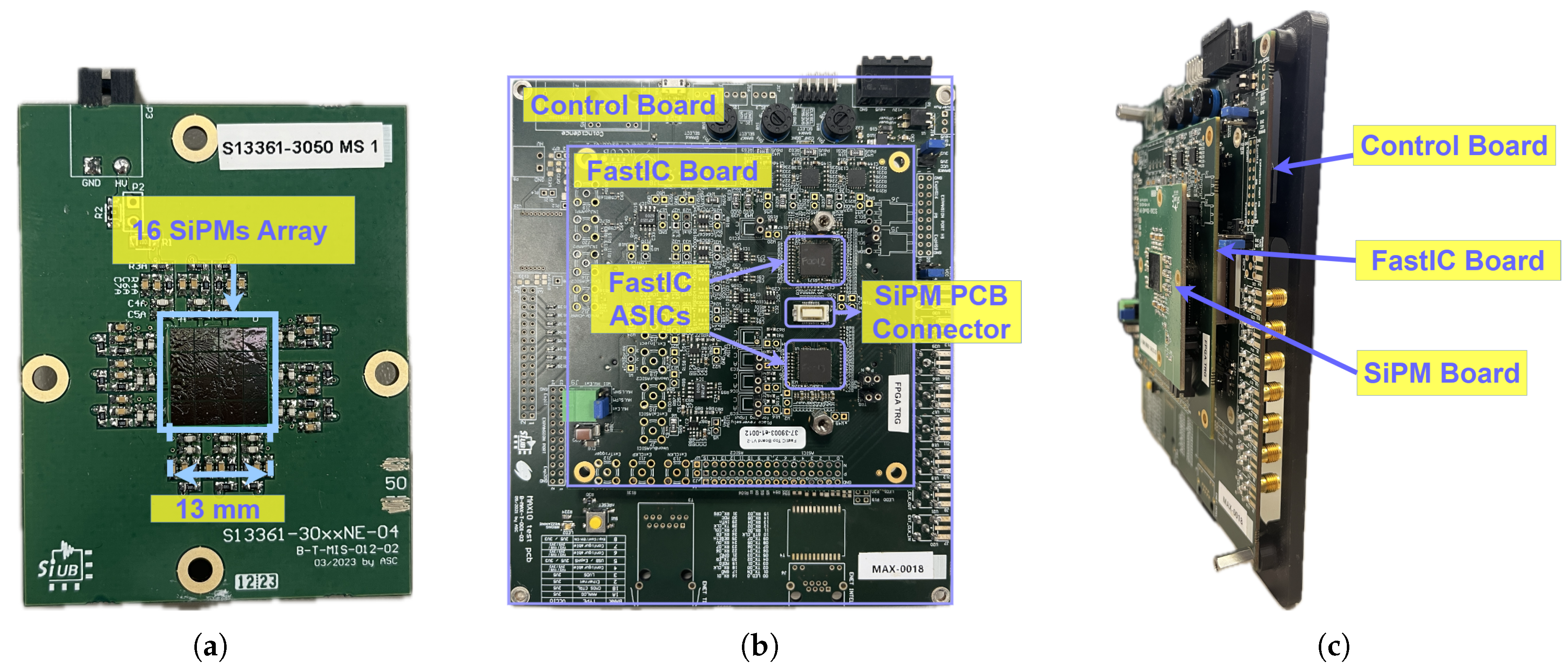 Preprints 147384 g002