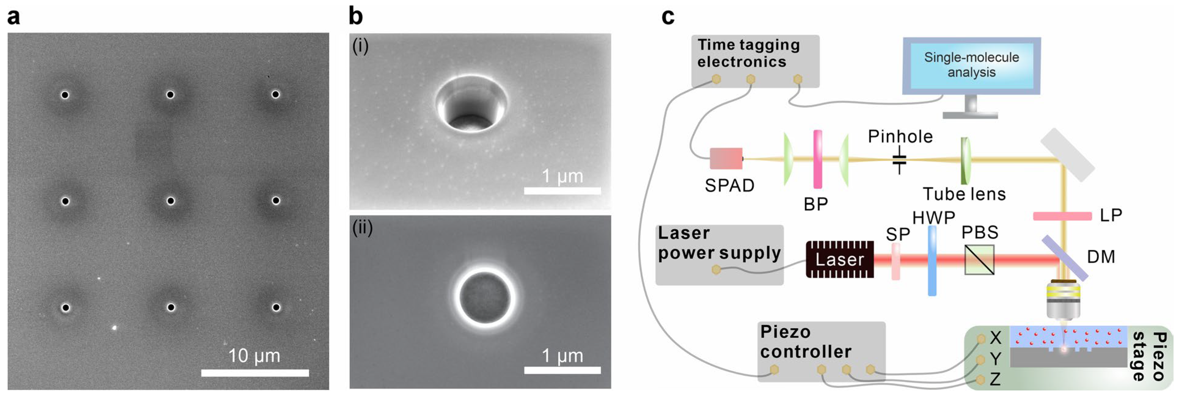 Preprints 181490 g002