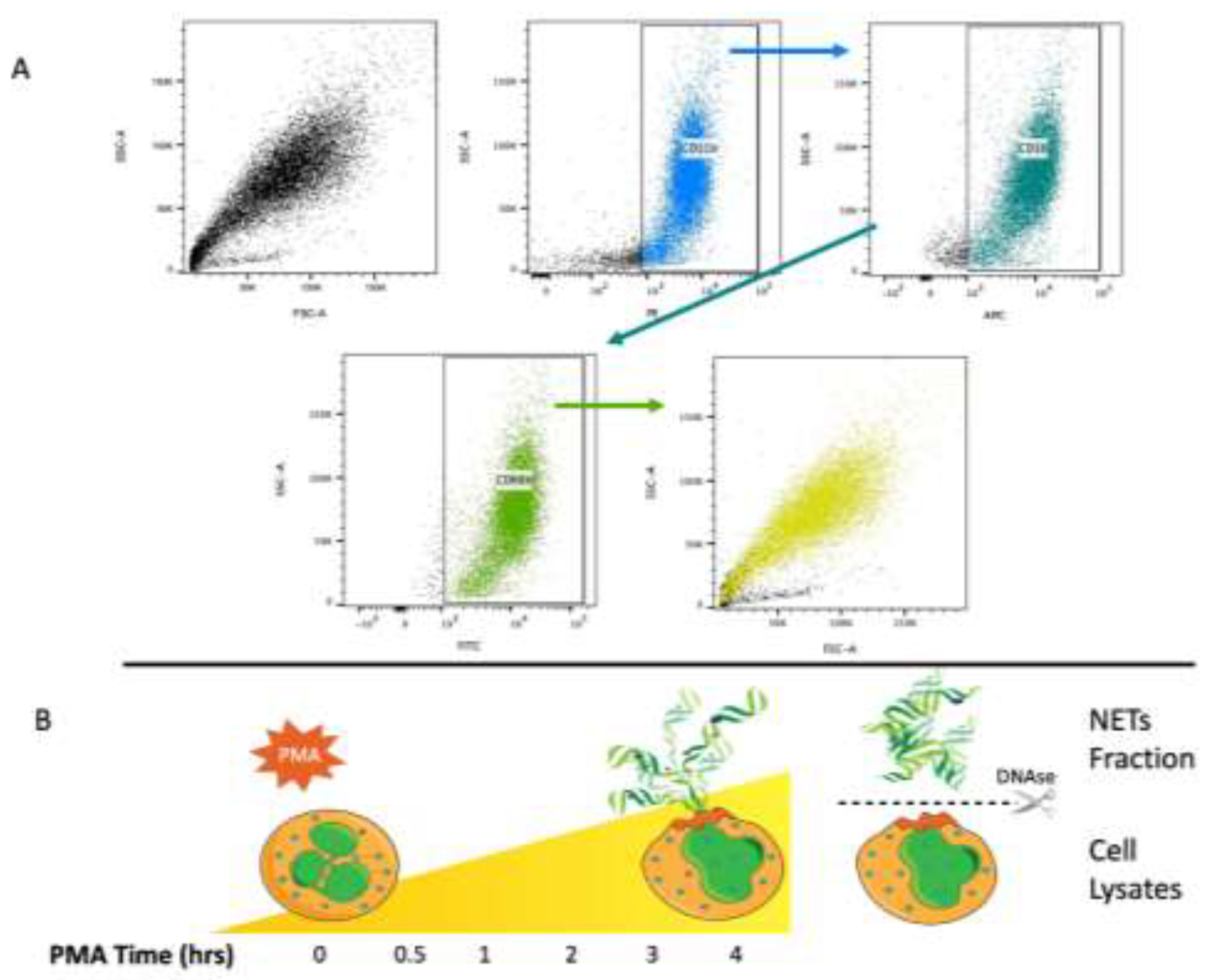 Preprints 138671 g001