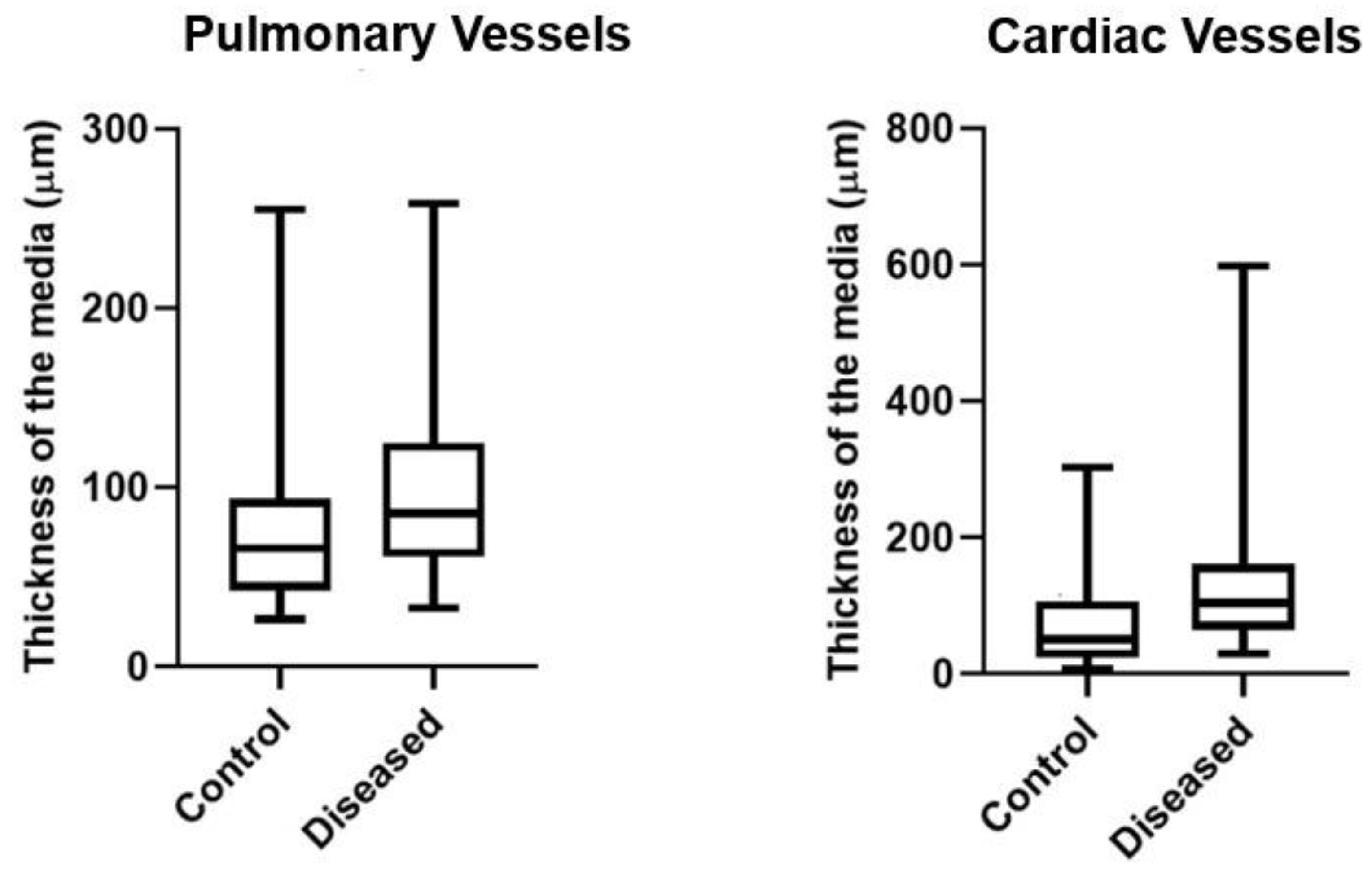 Preprints 168886 g003