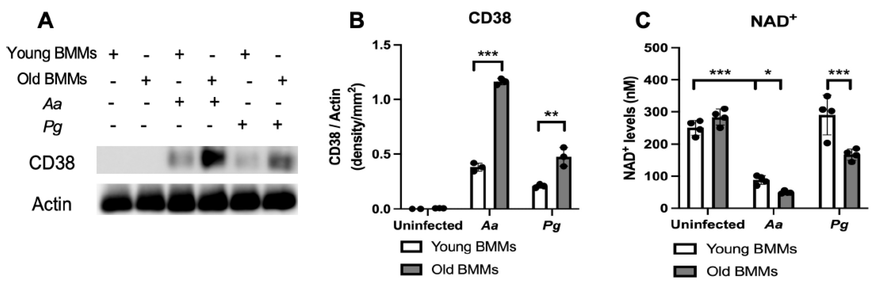 Preprints 158401 g001