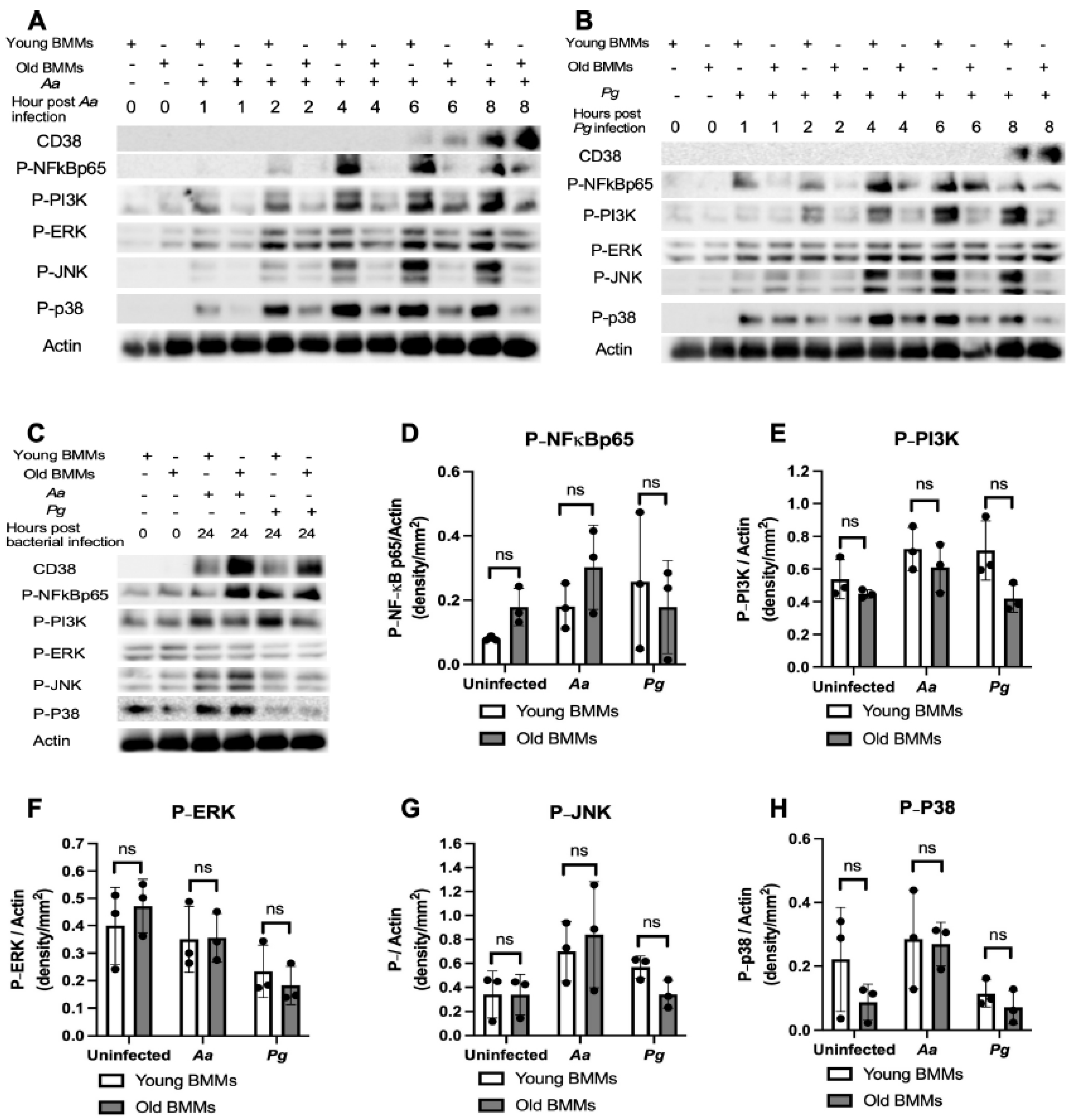 Preprints 158401 g002