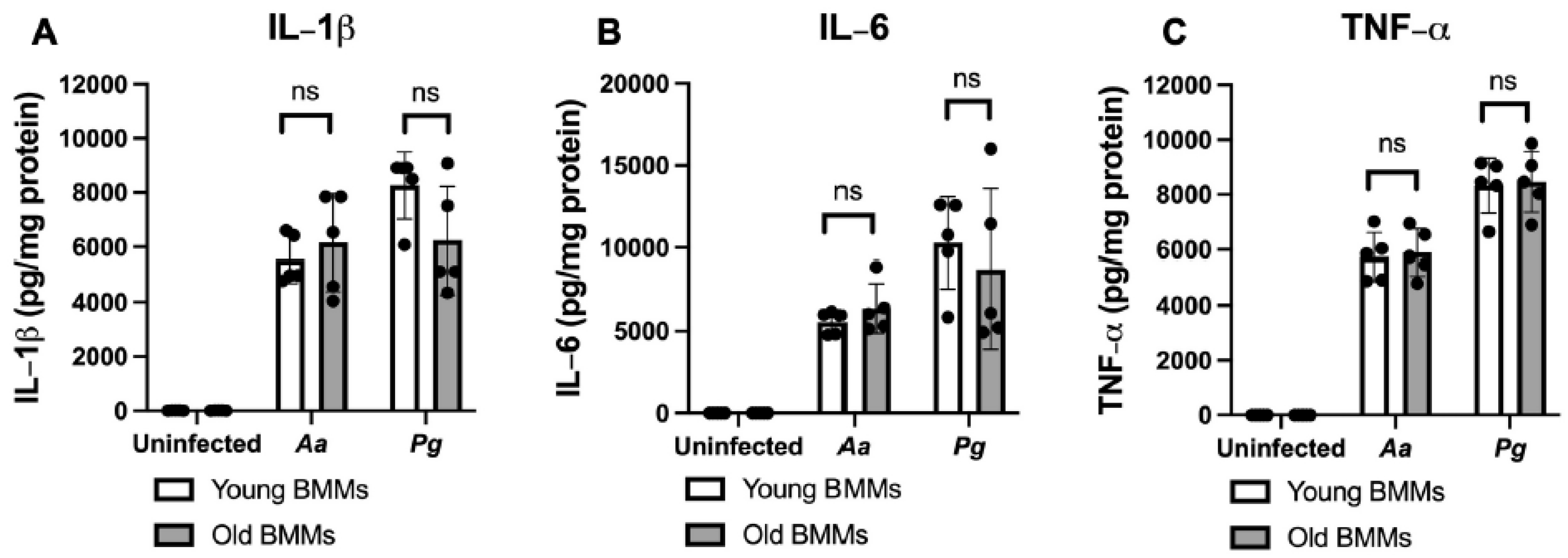 Preprints 158401 g003