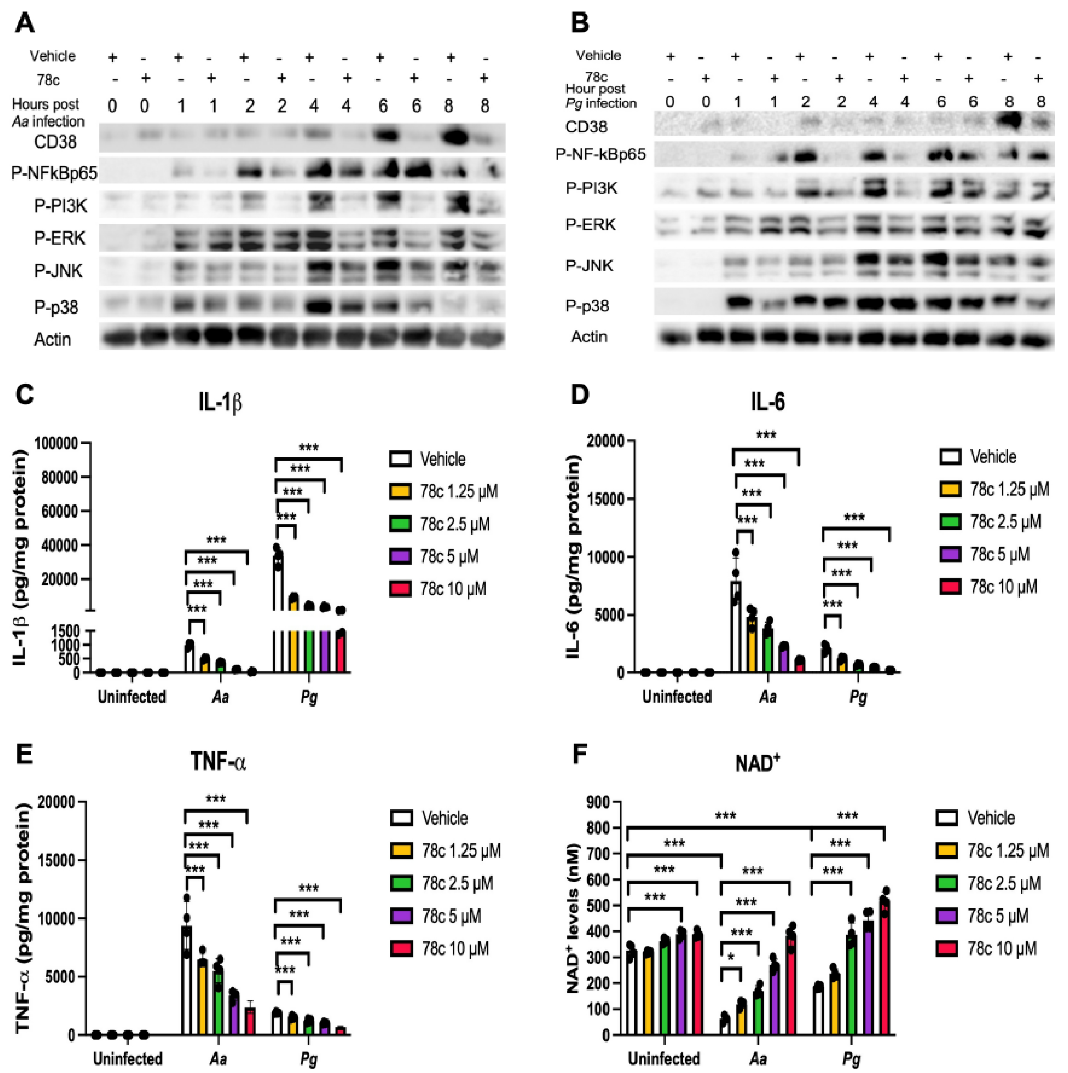 Preprints 158401 g004