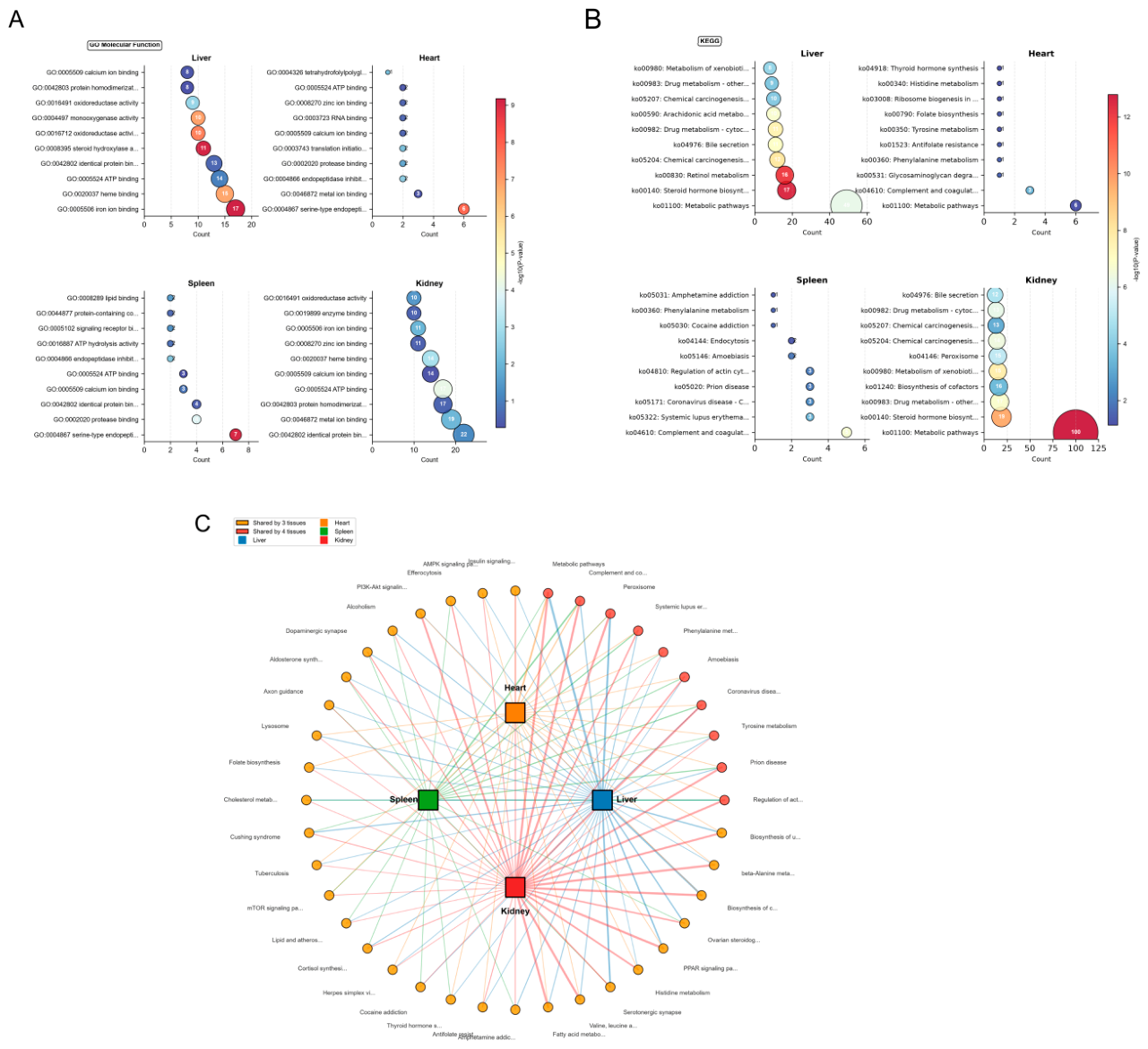 Preprints 227559 g003