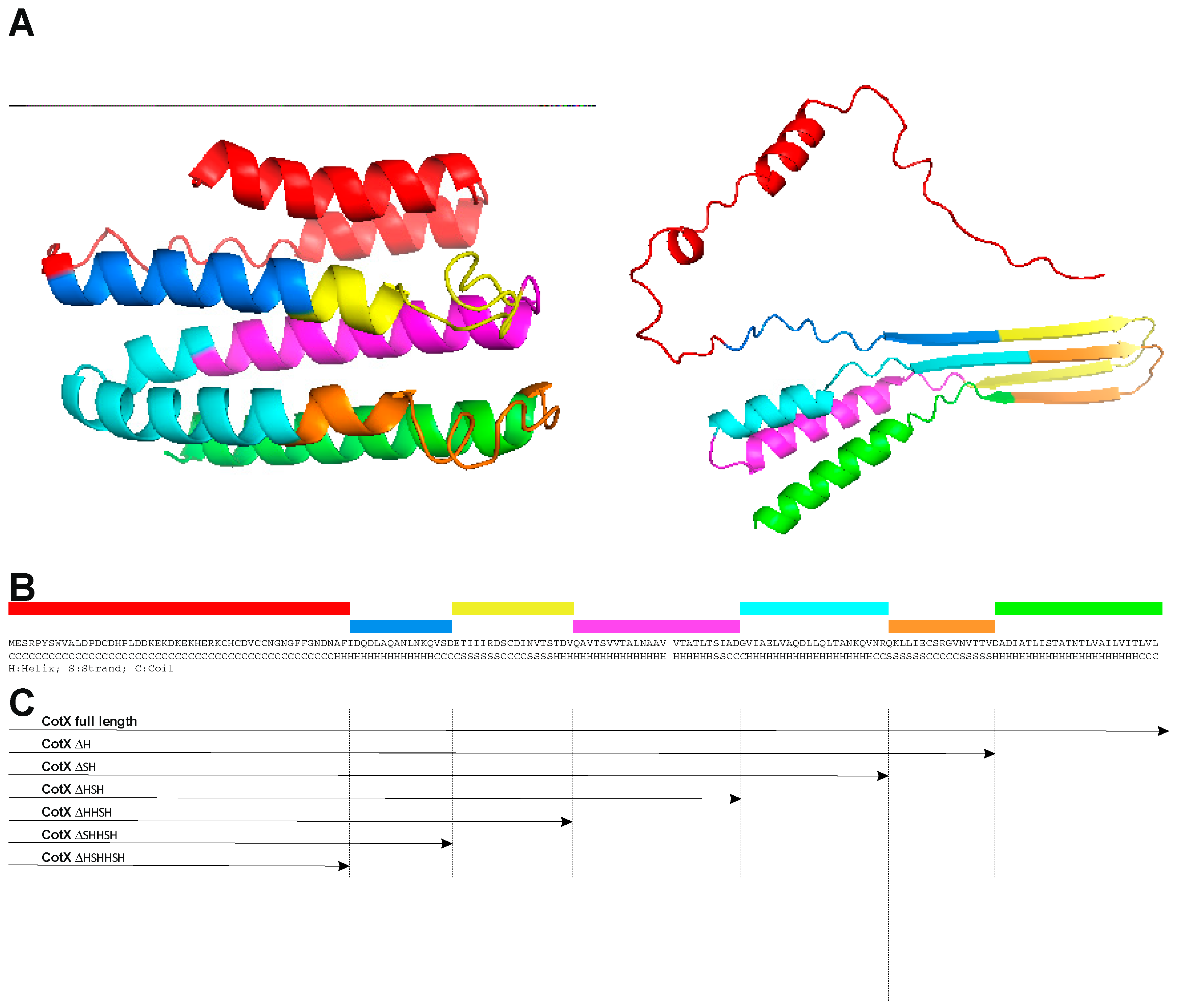 Preprints 144586 g001