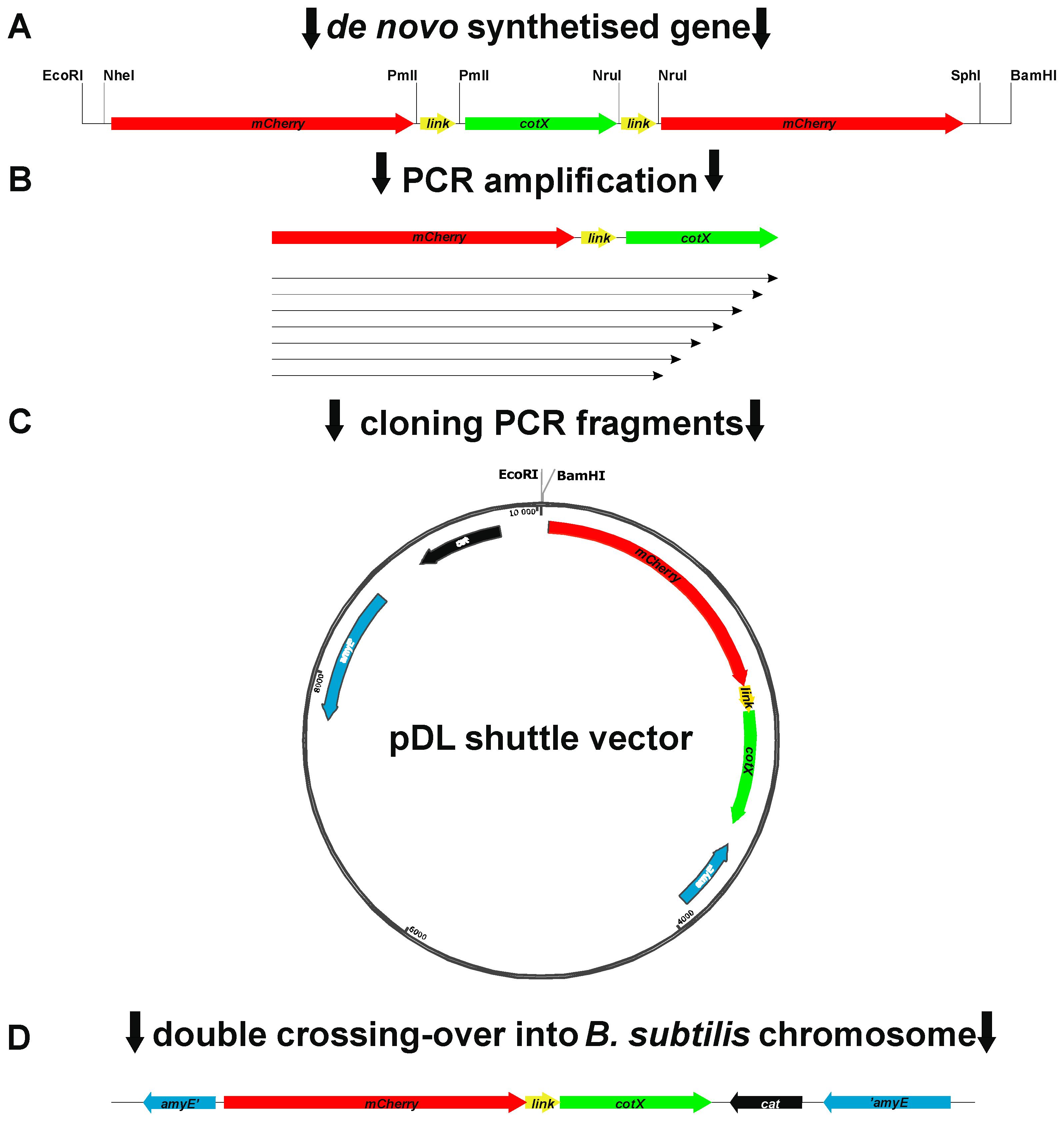 Preprints 144586 g002