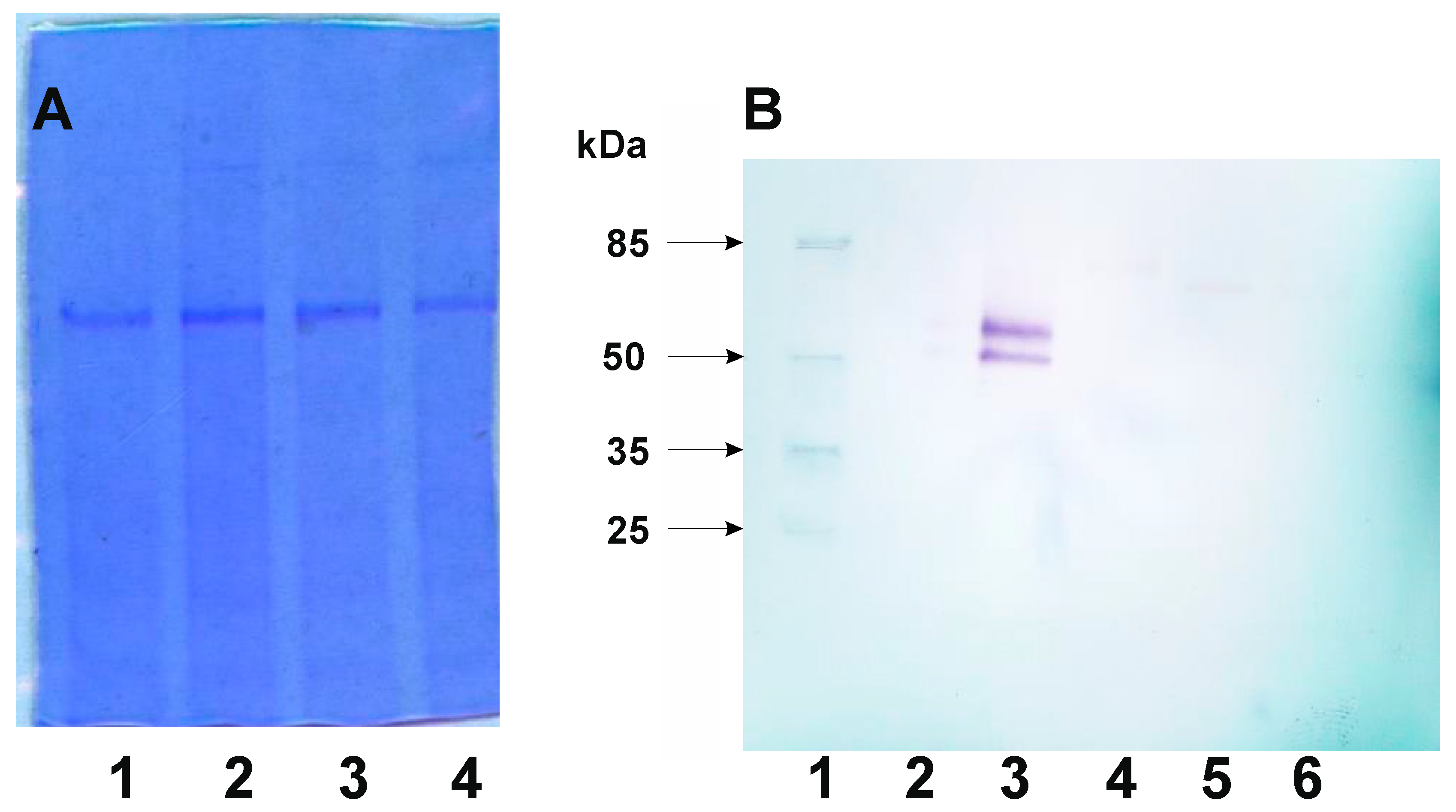 Preprints 144586 g003