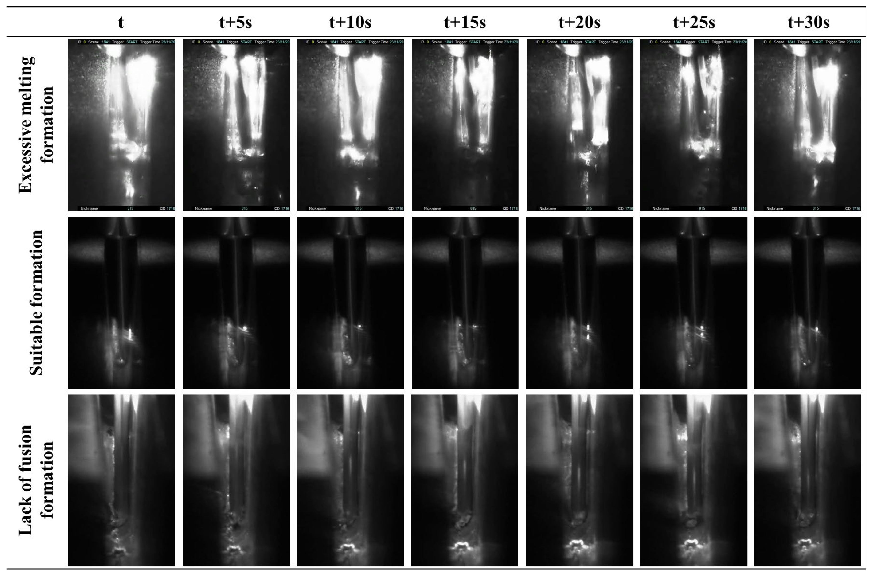 Preprints 163419 g006