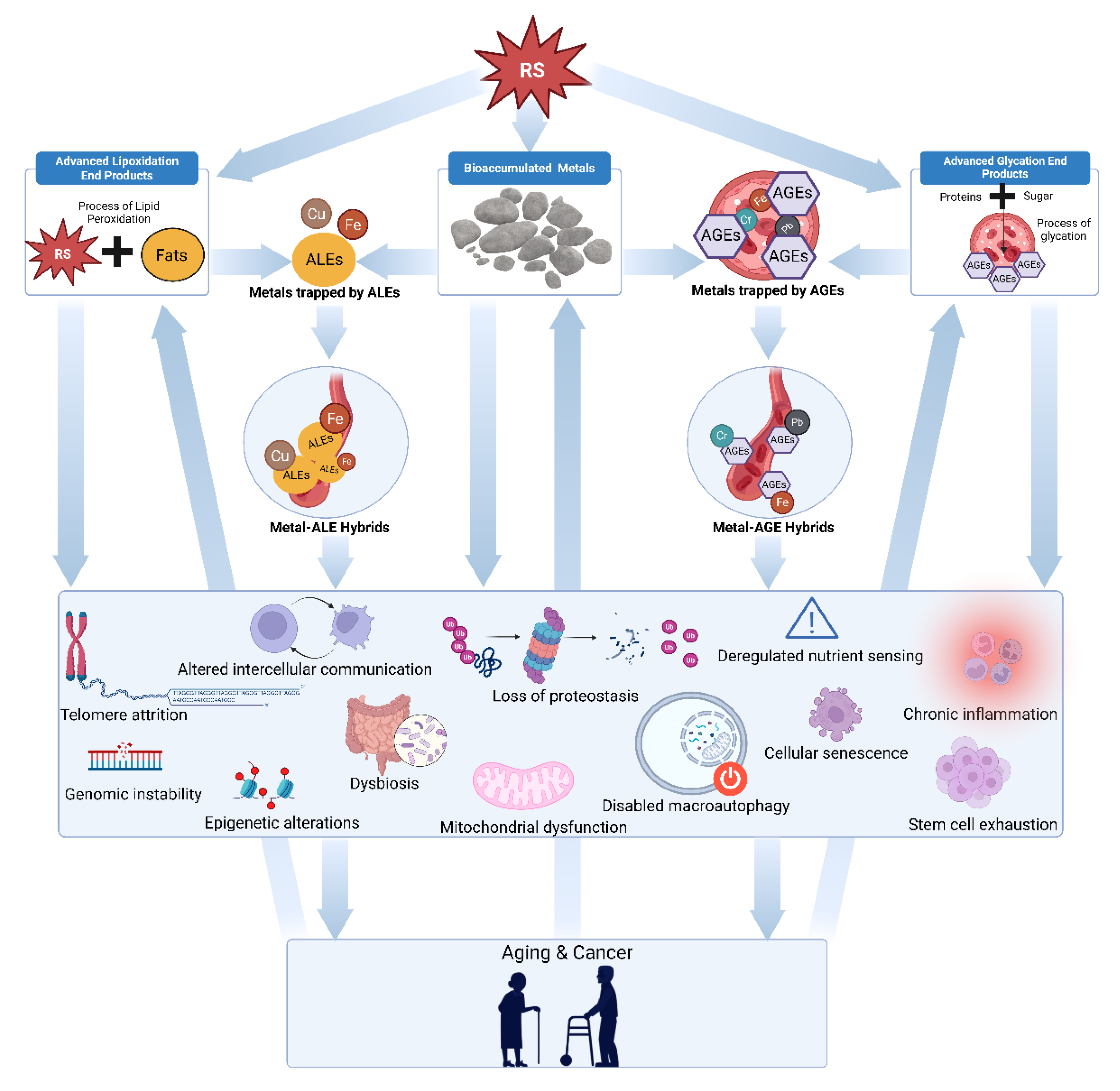 Preprints 179690 g001