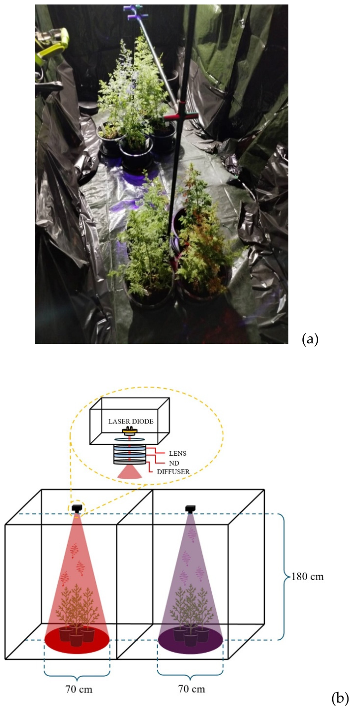 Preprints 219414 g001 Preprints 219414 g001