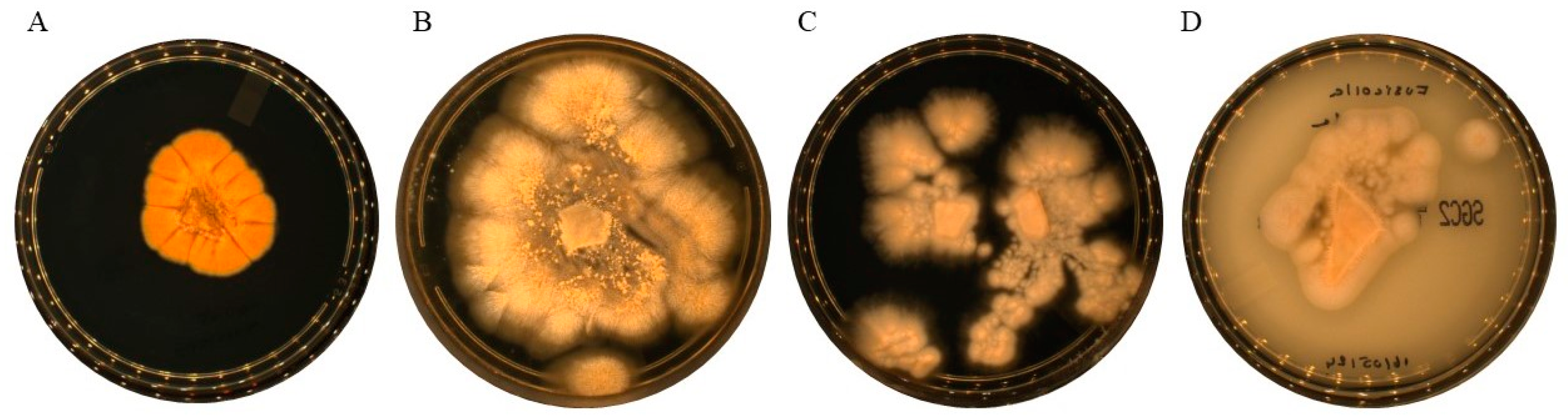 Preprints 154298 g001