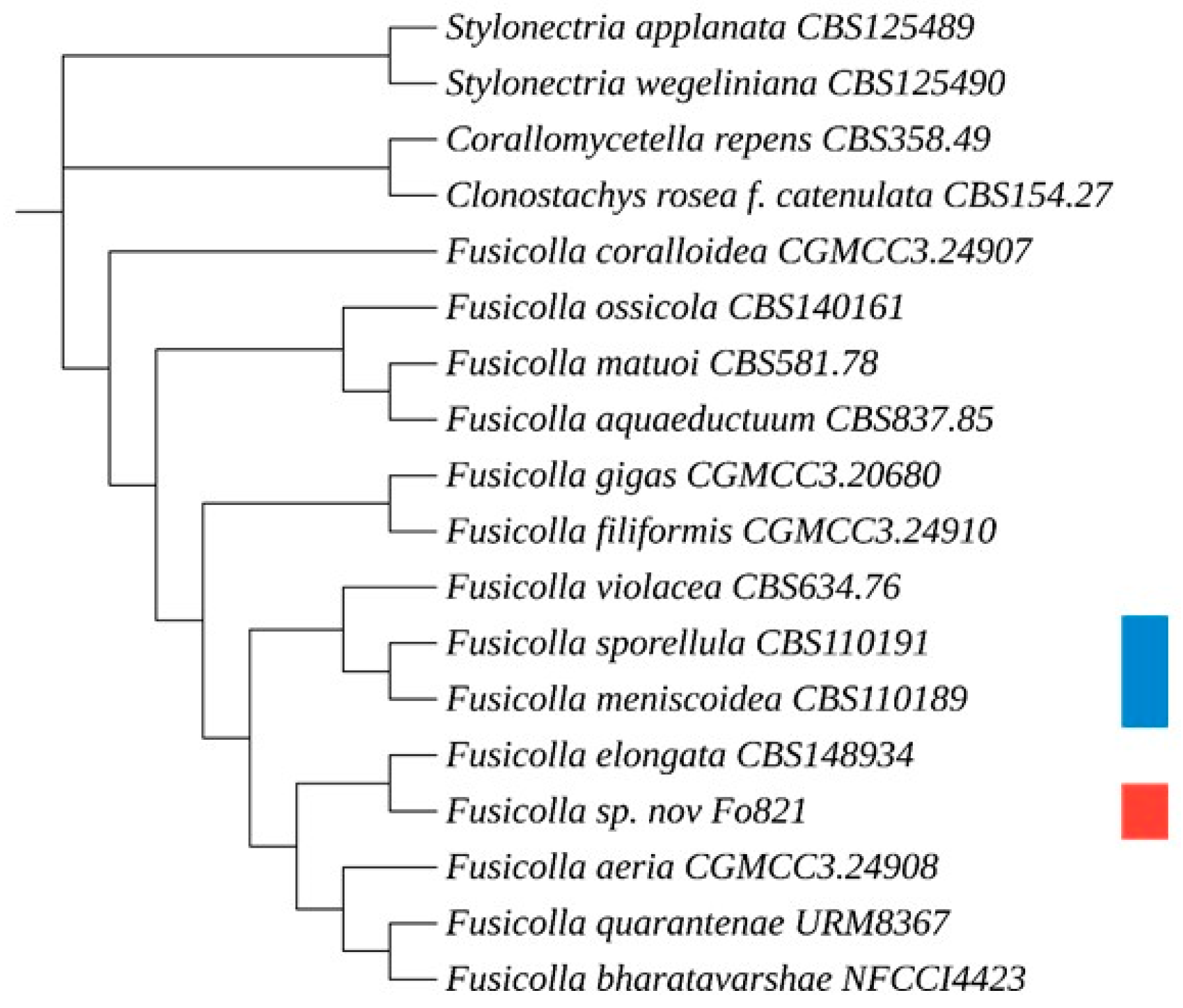 Preprints 154298 g003
