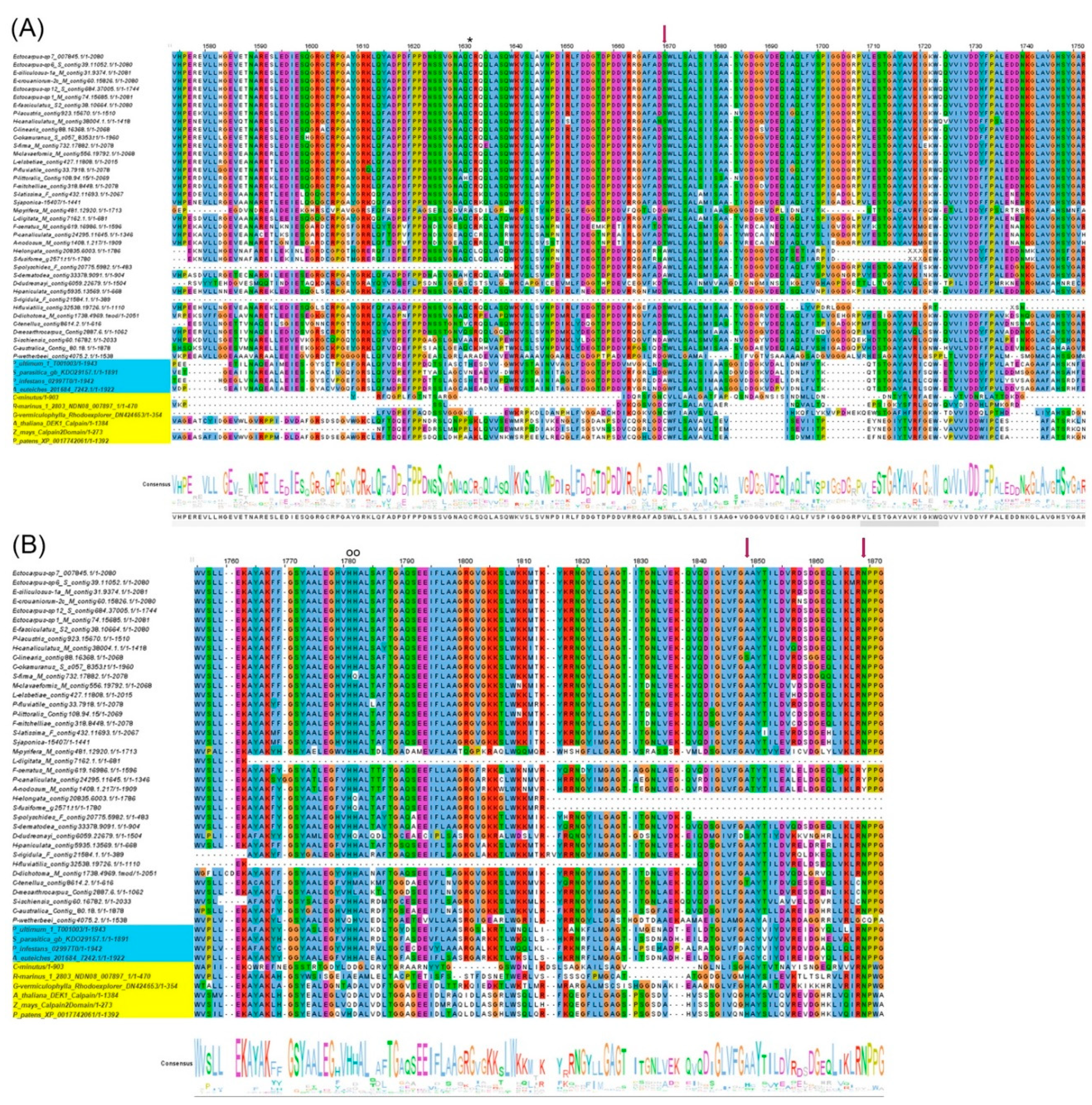 Preprints 218250 g003