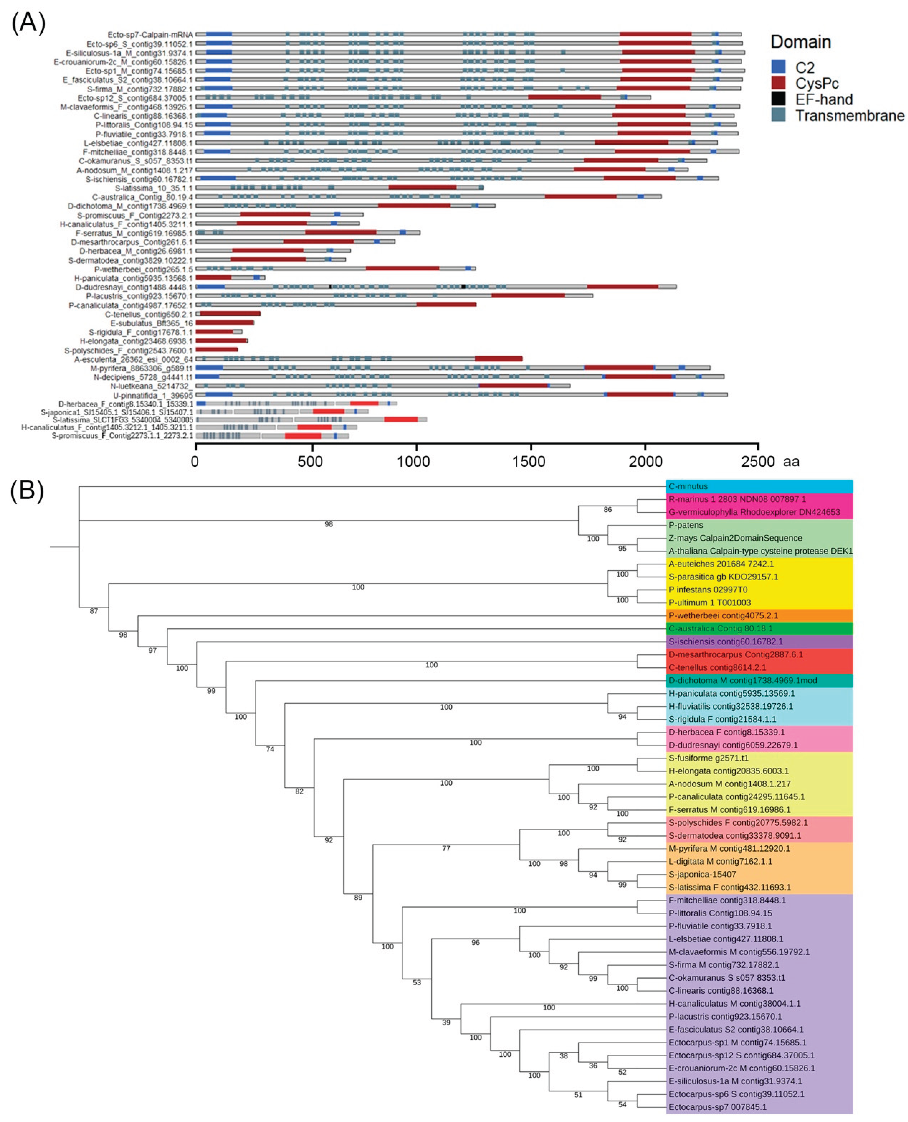 Preprints 218250 g004