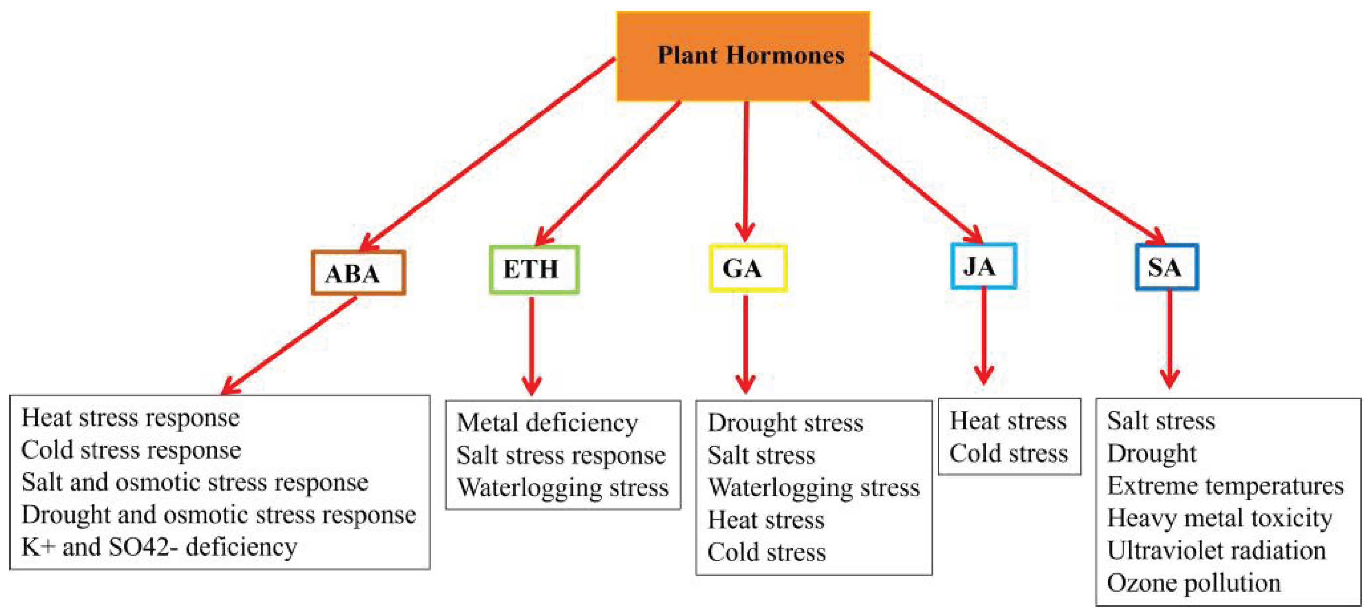 Preprints 208408 g001