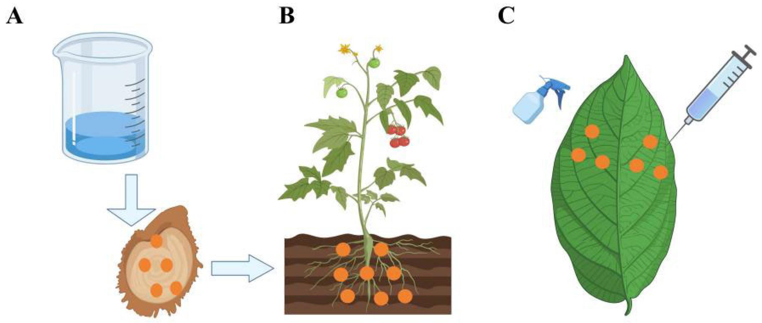 Preprints 208408 g002