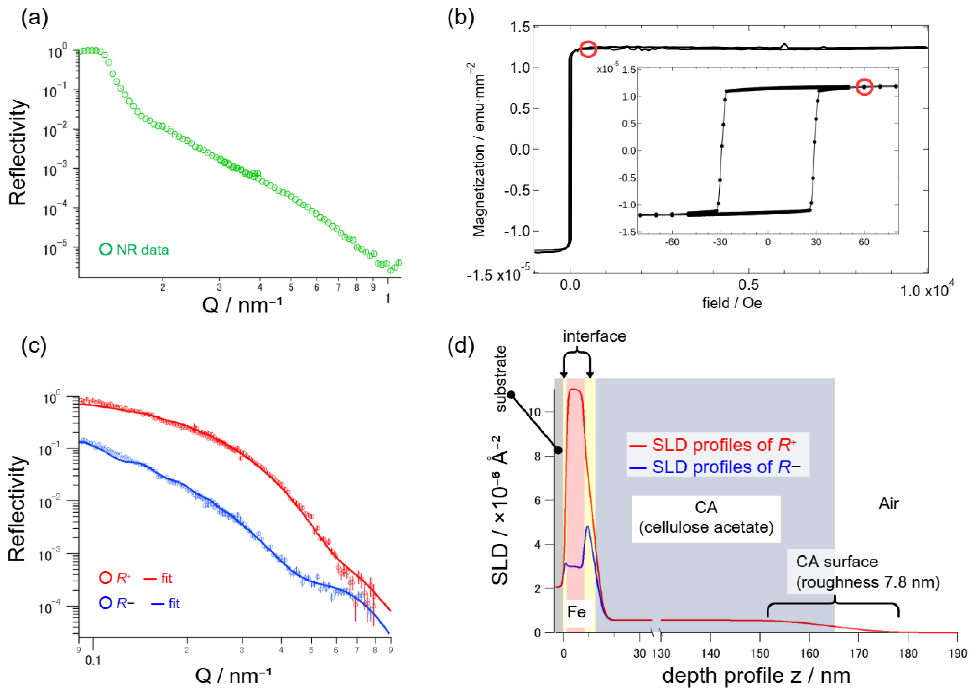 Preprints 182493 g008