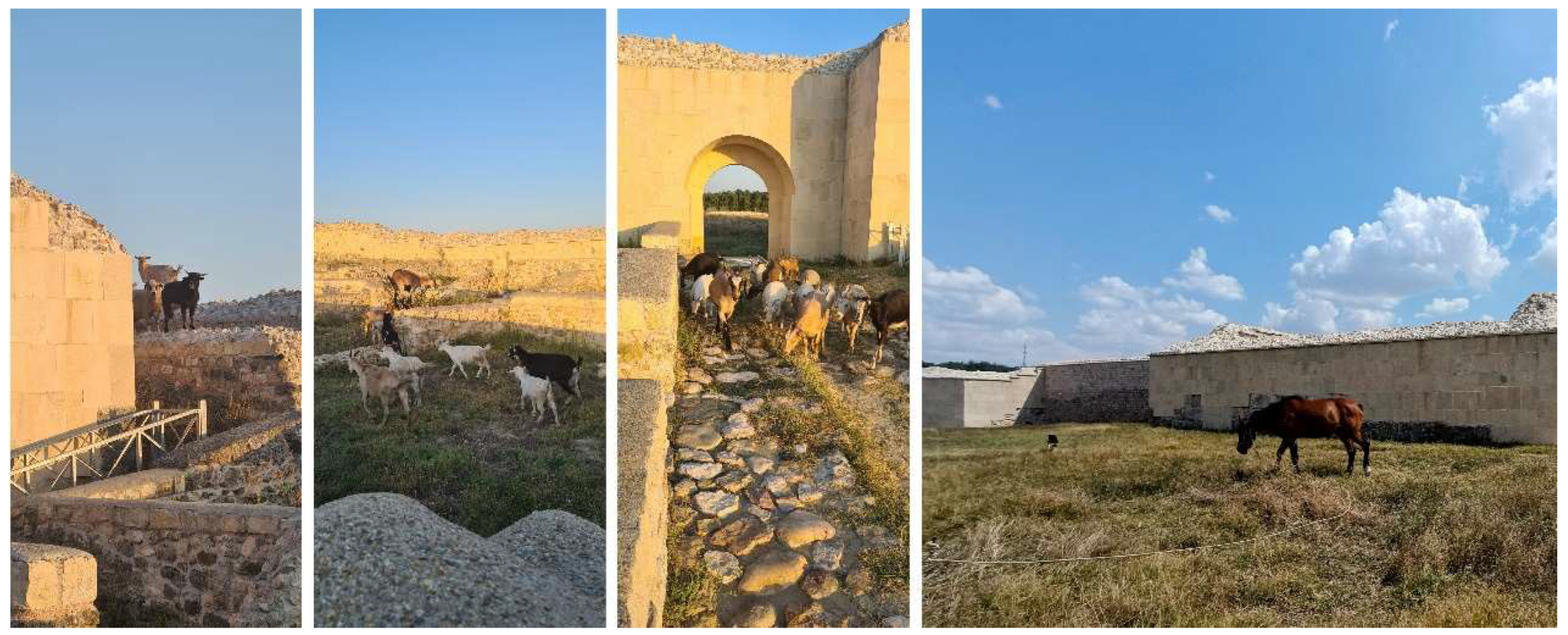 Preprints 149080 g002