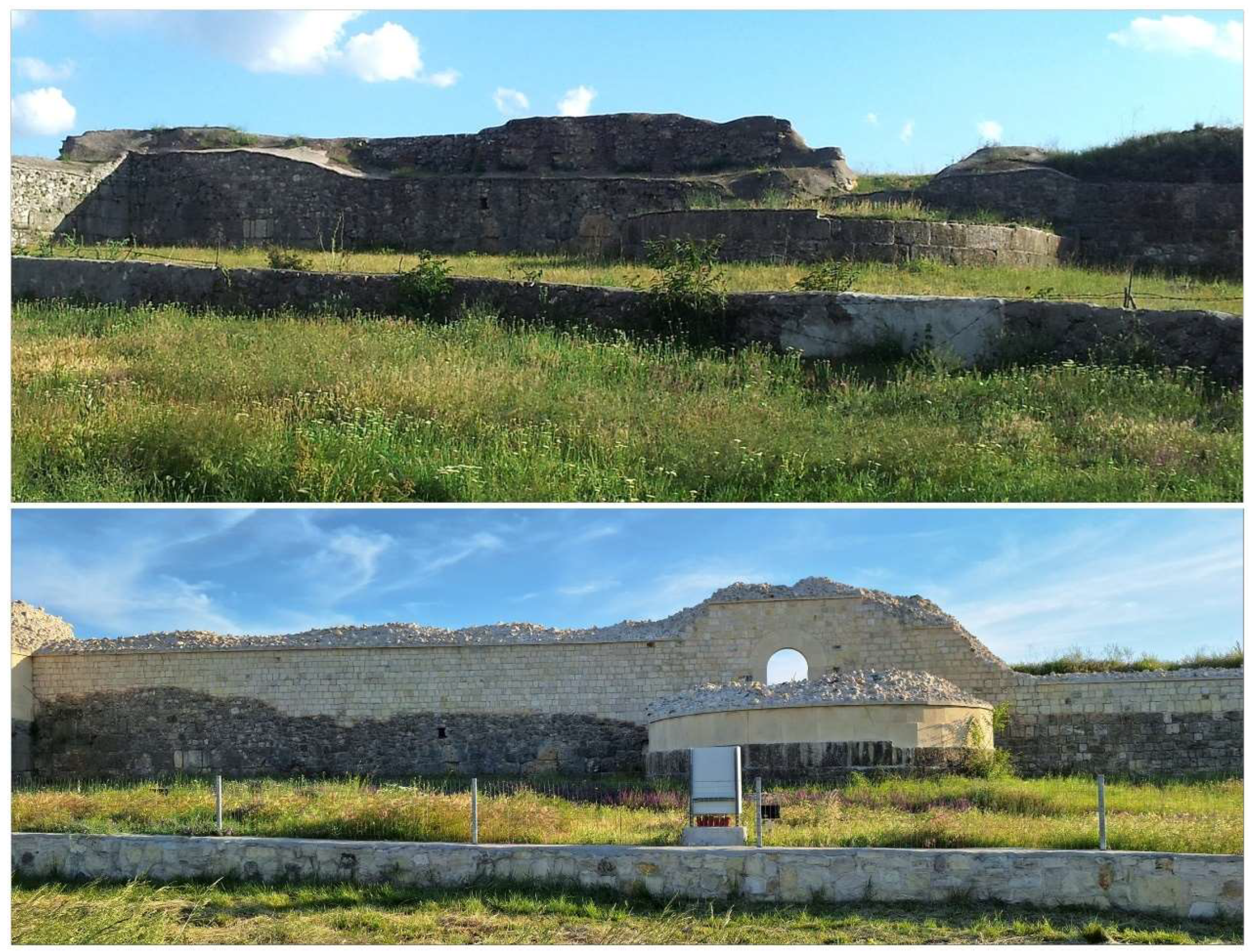 Preprints 149080 g005