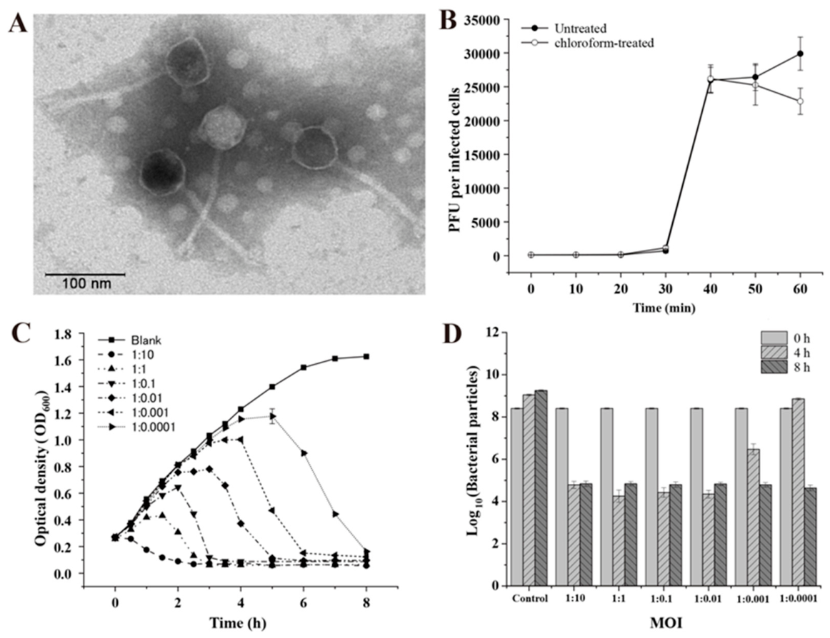 Preprints 234770 g001 Preprints 234770 g001