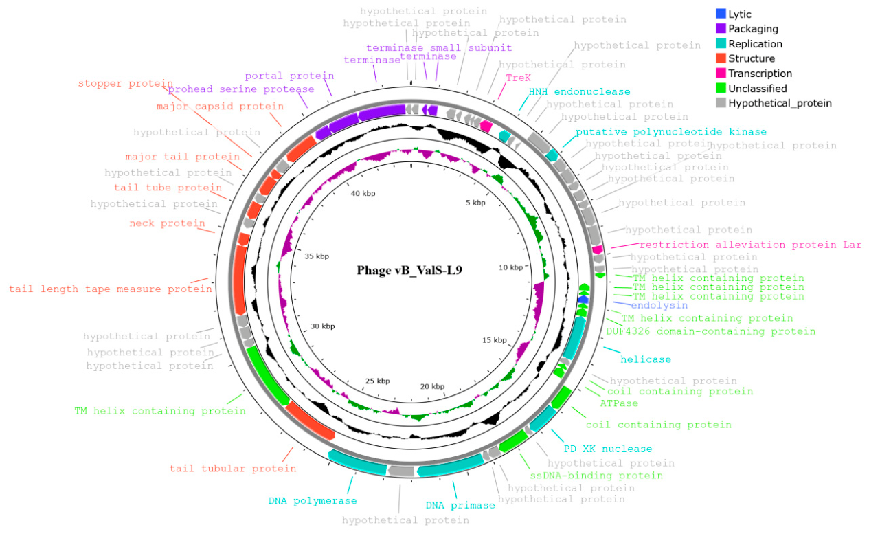 Preprints 234770 g003 Preprints 234770 g003
