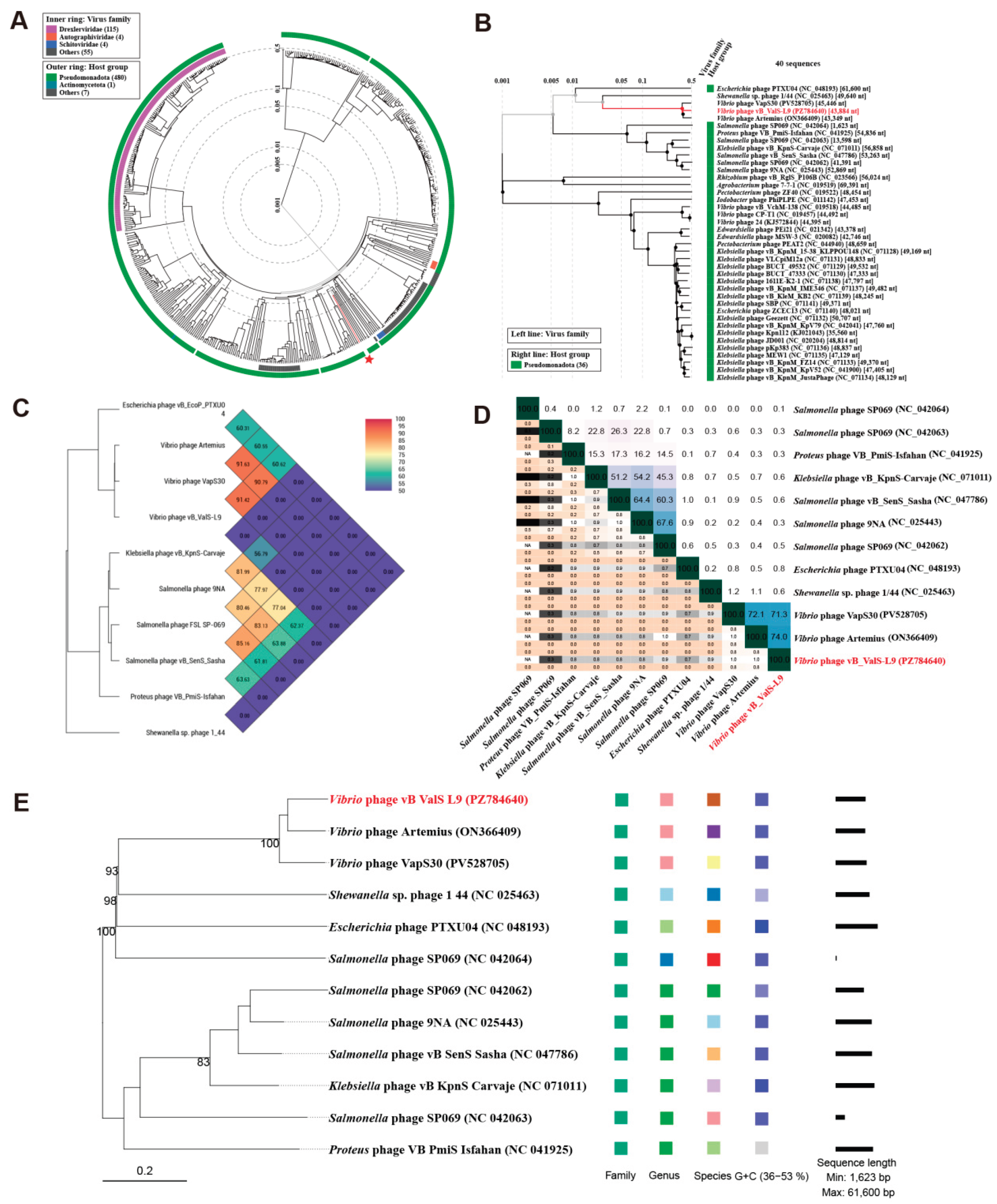 Preprints 234770 g004 Preprints 234770 g004