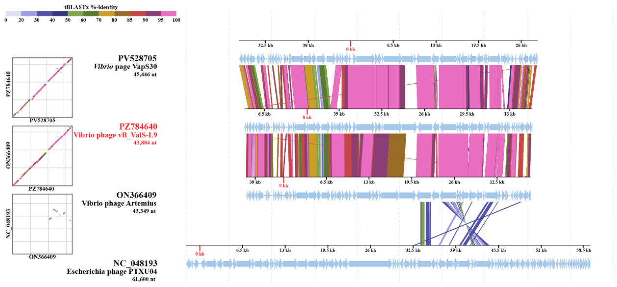 Preprints 234770 g006 Preprints 234770 g006