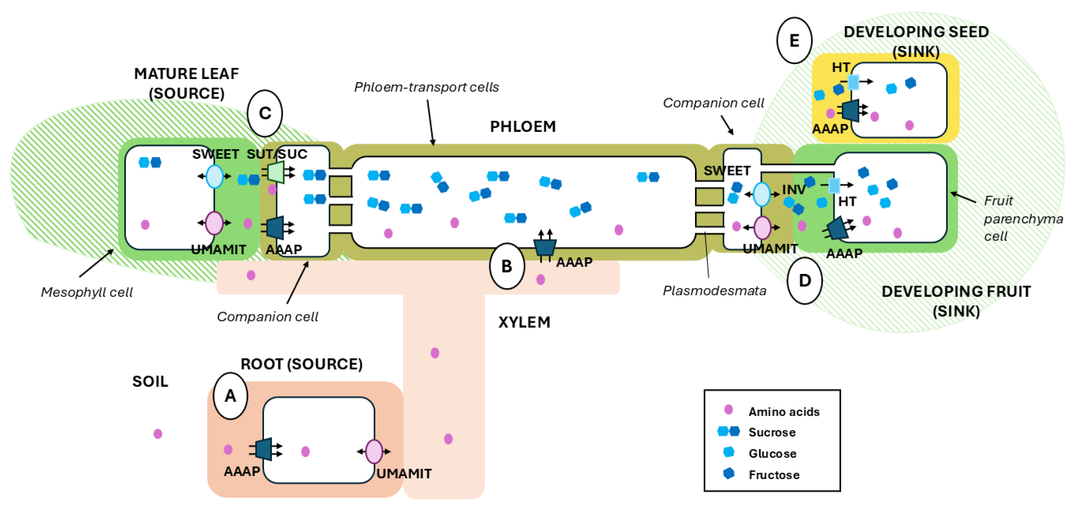 Preprints 207564 g001 Preprints 207564 g001