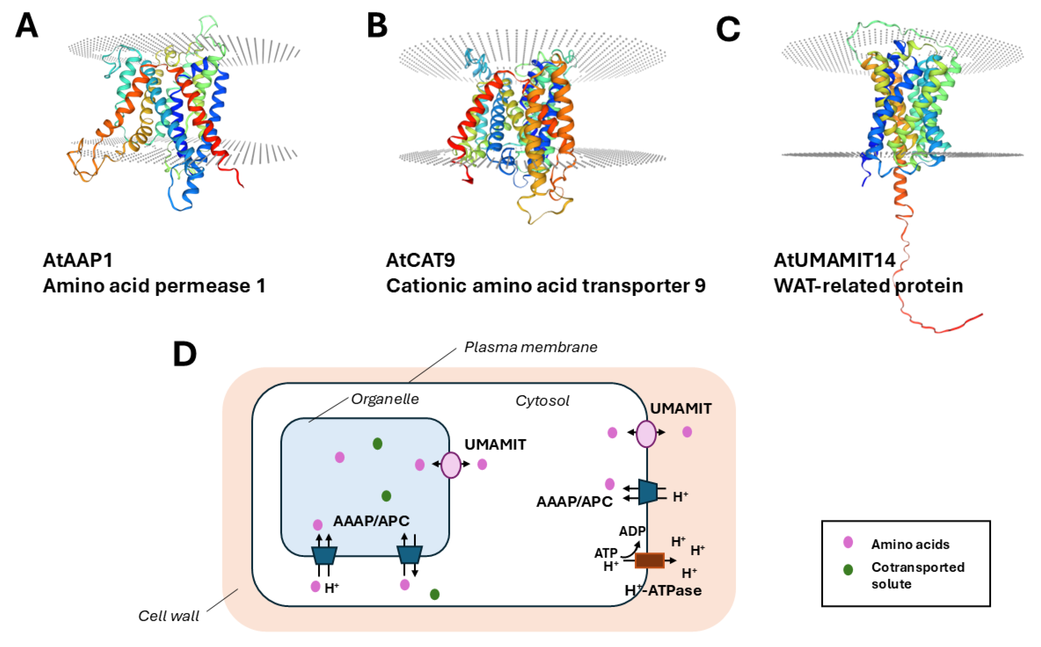 Preprints 207564 g002 Preprints 207564 g002