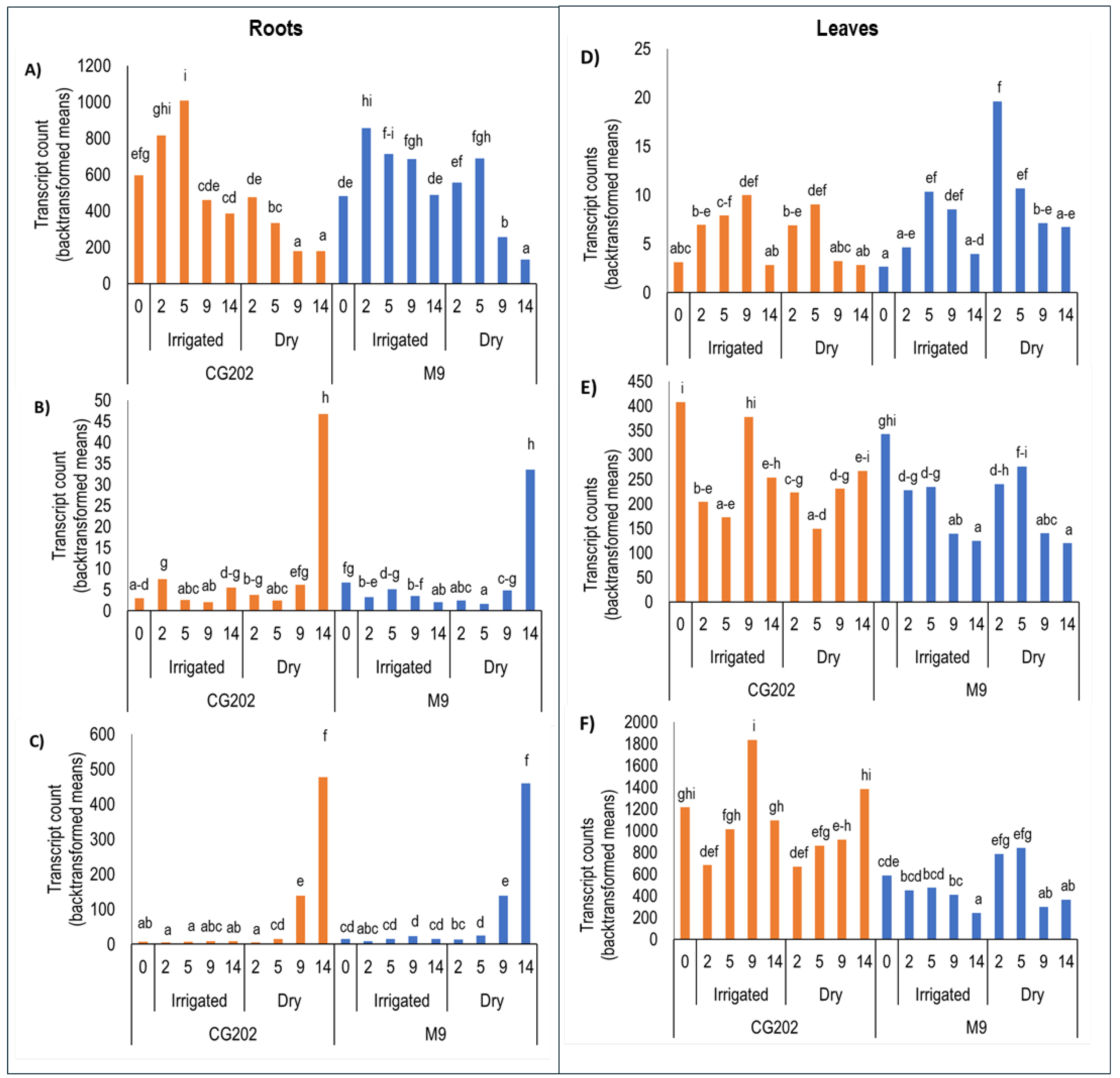 Preprints 160031 g004
