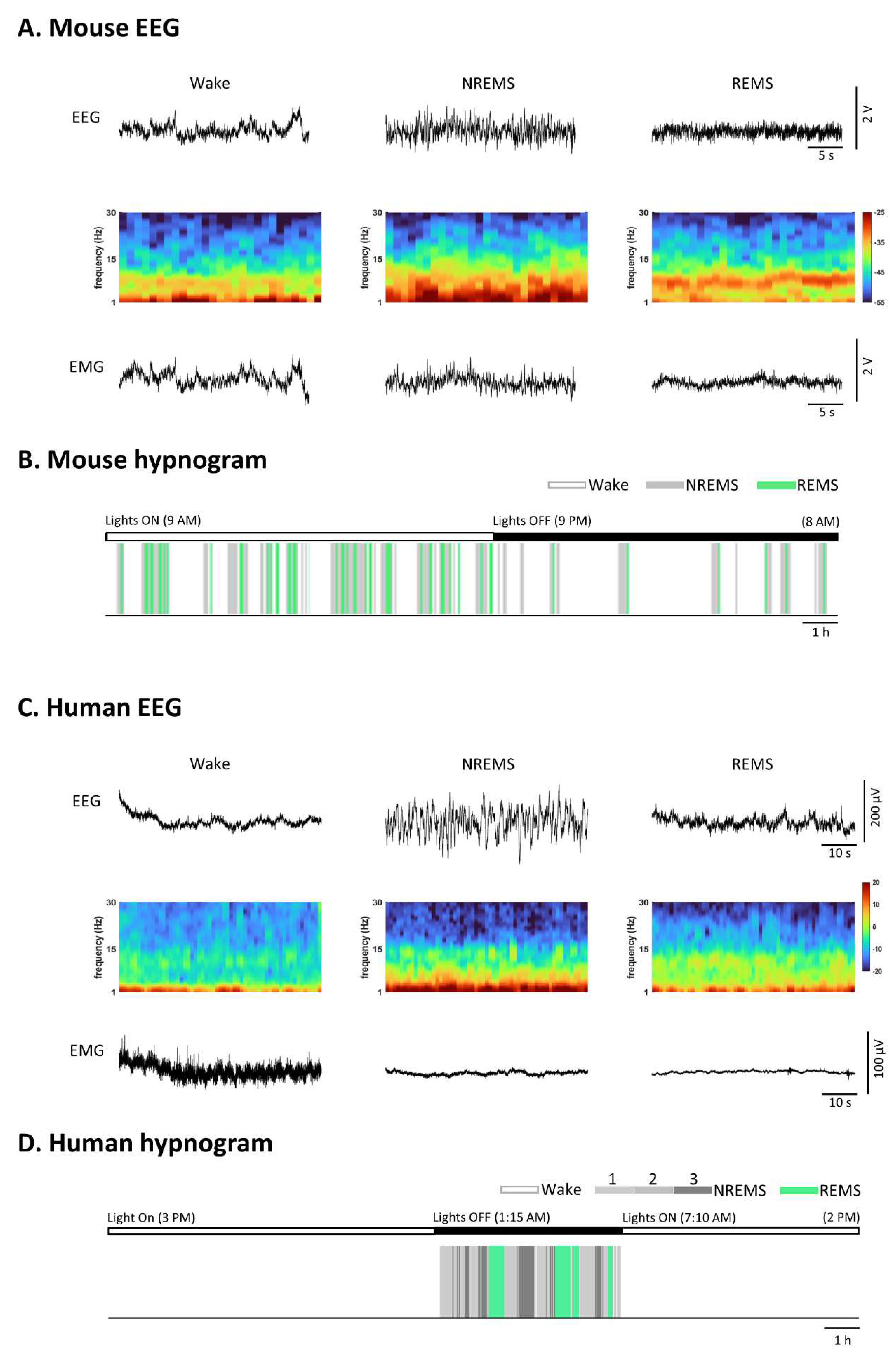 Preprints 86099 g001