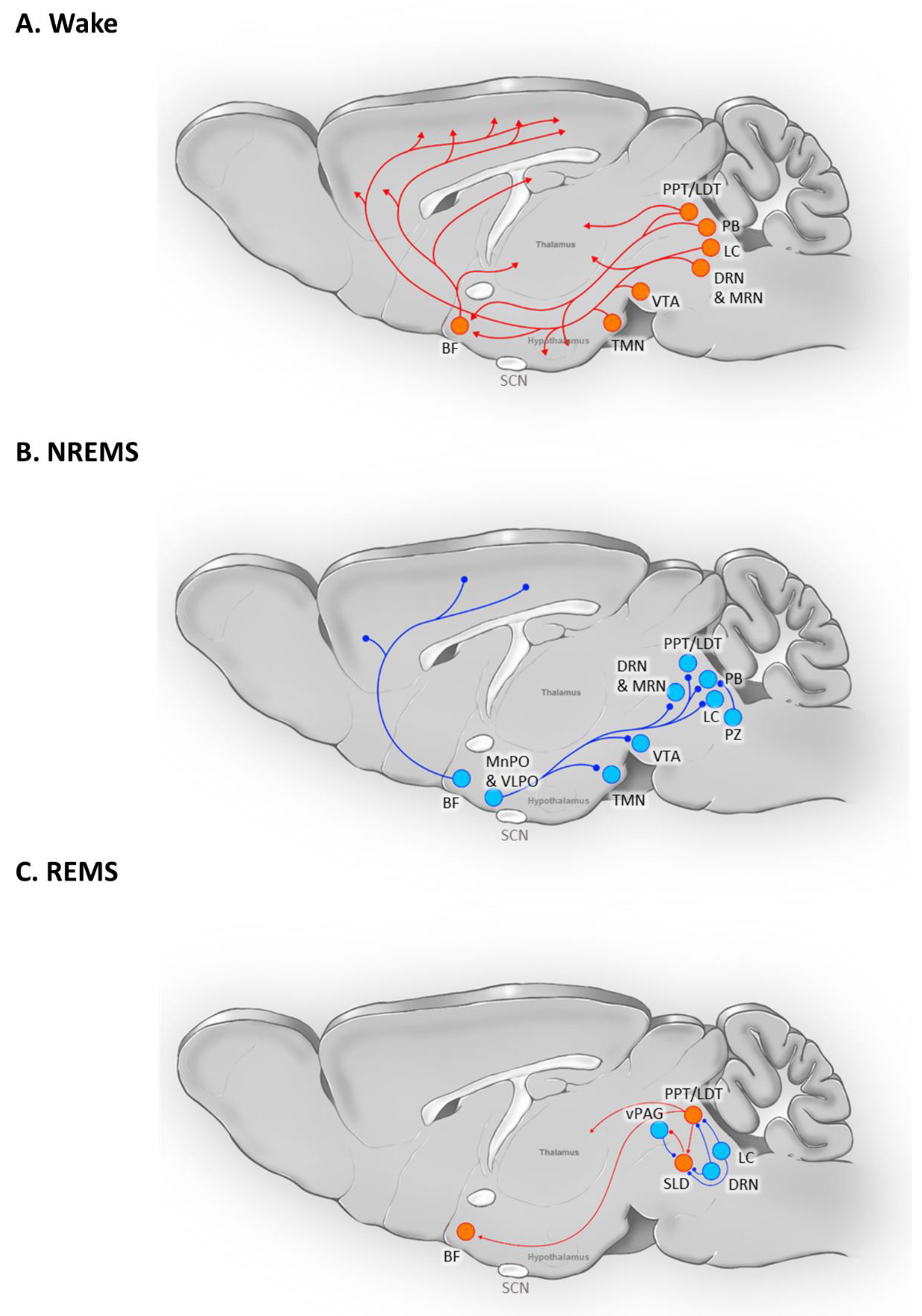 Preprints 86099 g002