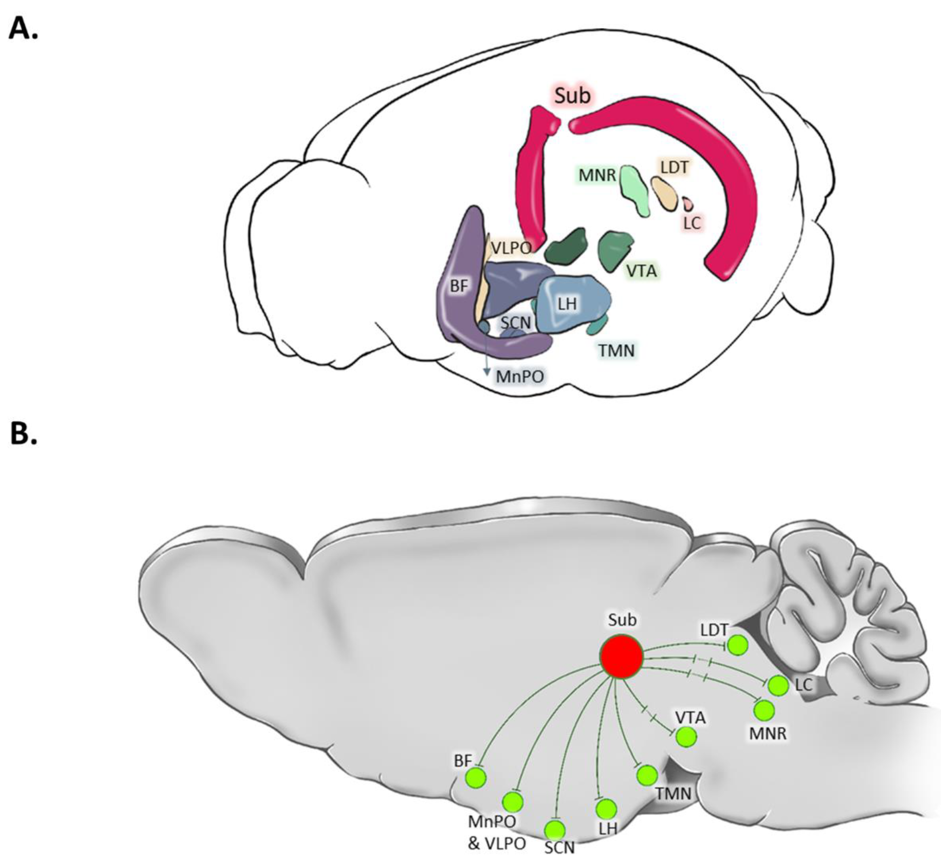 Preprints 86099 g003