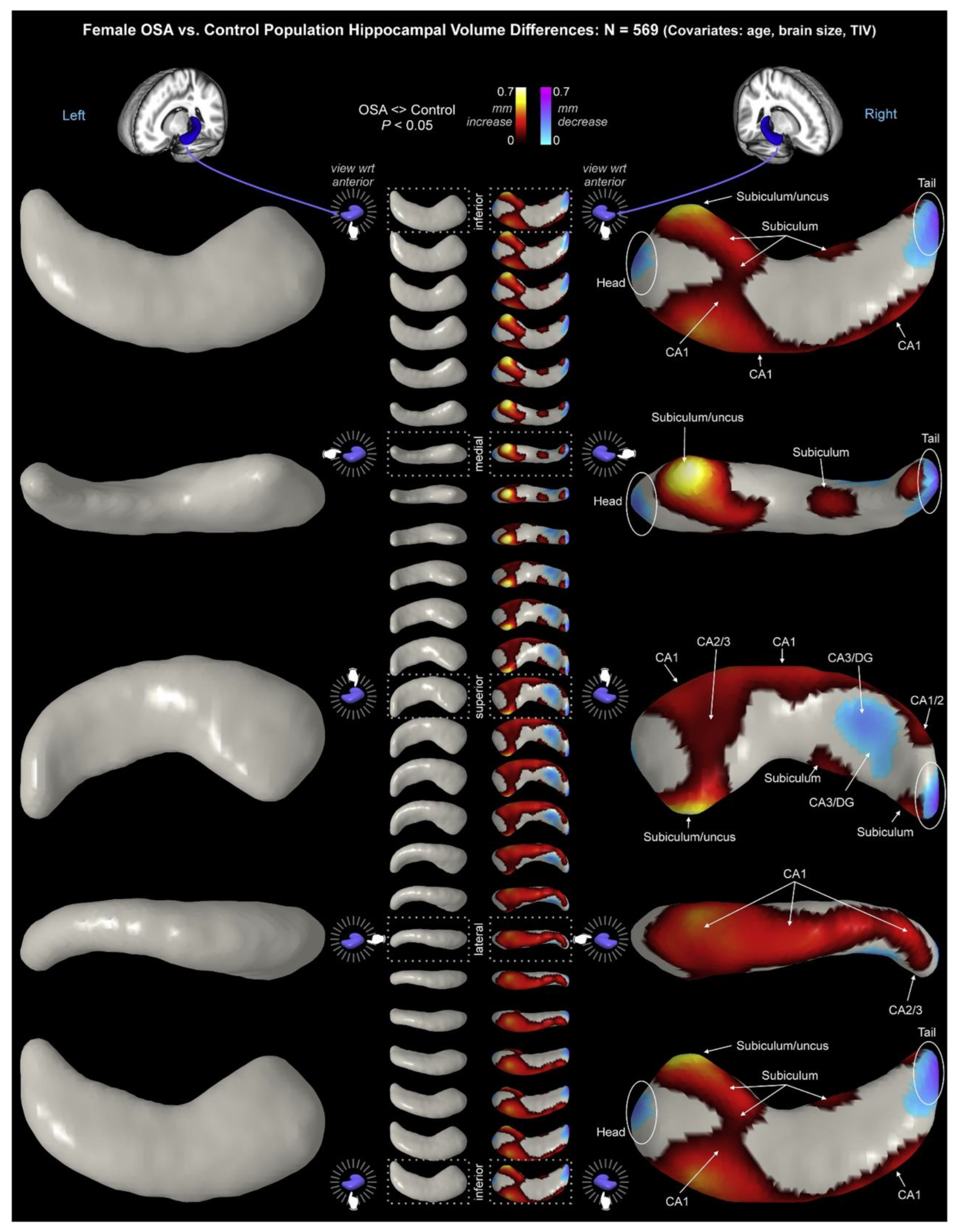 Preprints 86099 g004